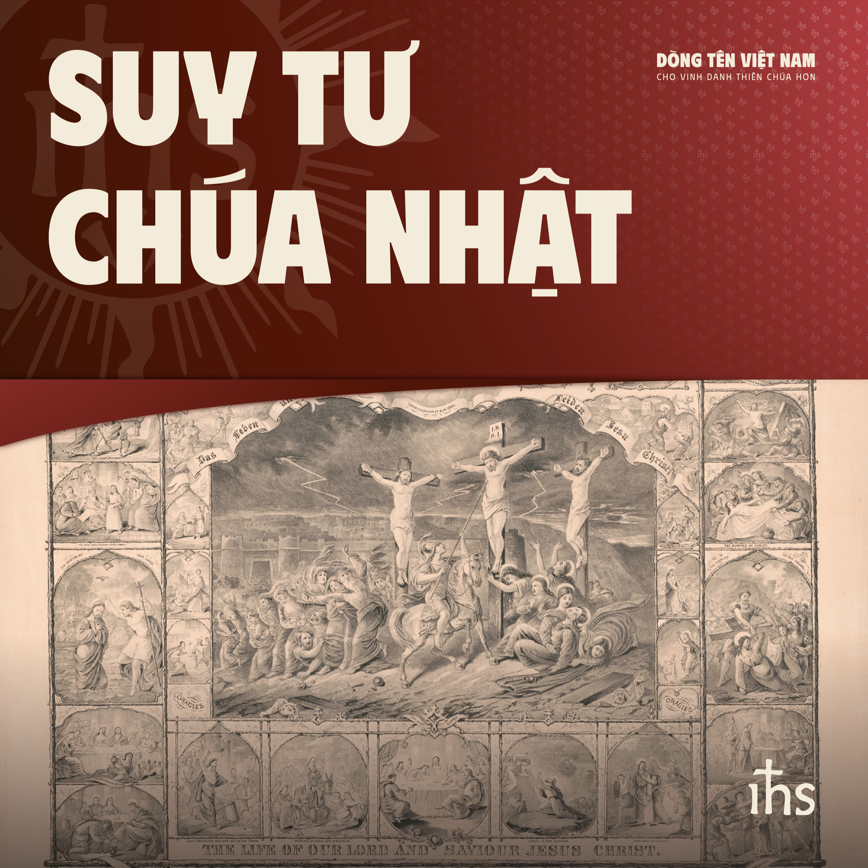 Suy Tư Chúa Nhật