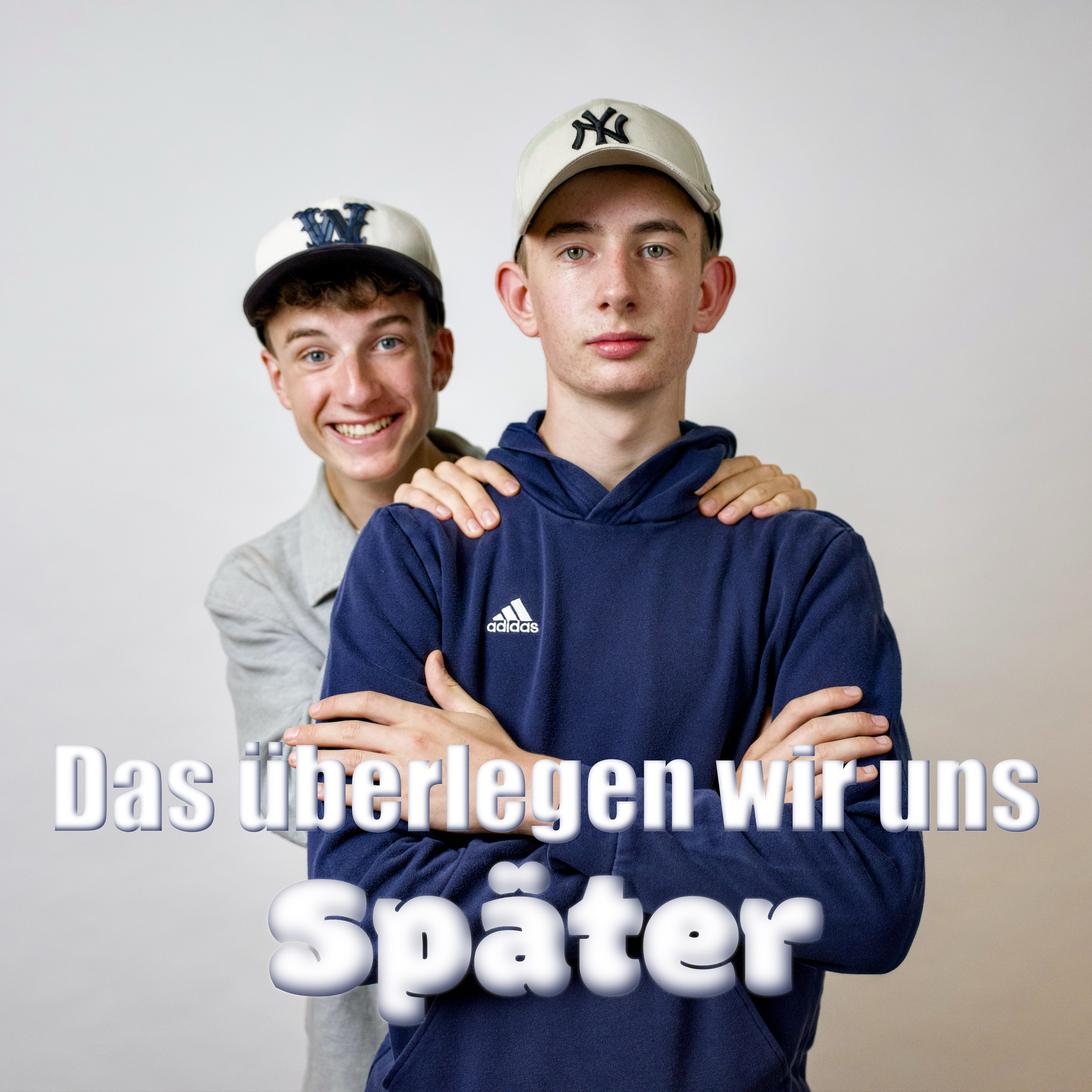 Artwork for Das überlegen wir uns später.
