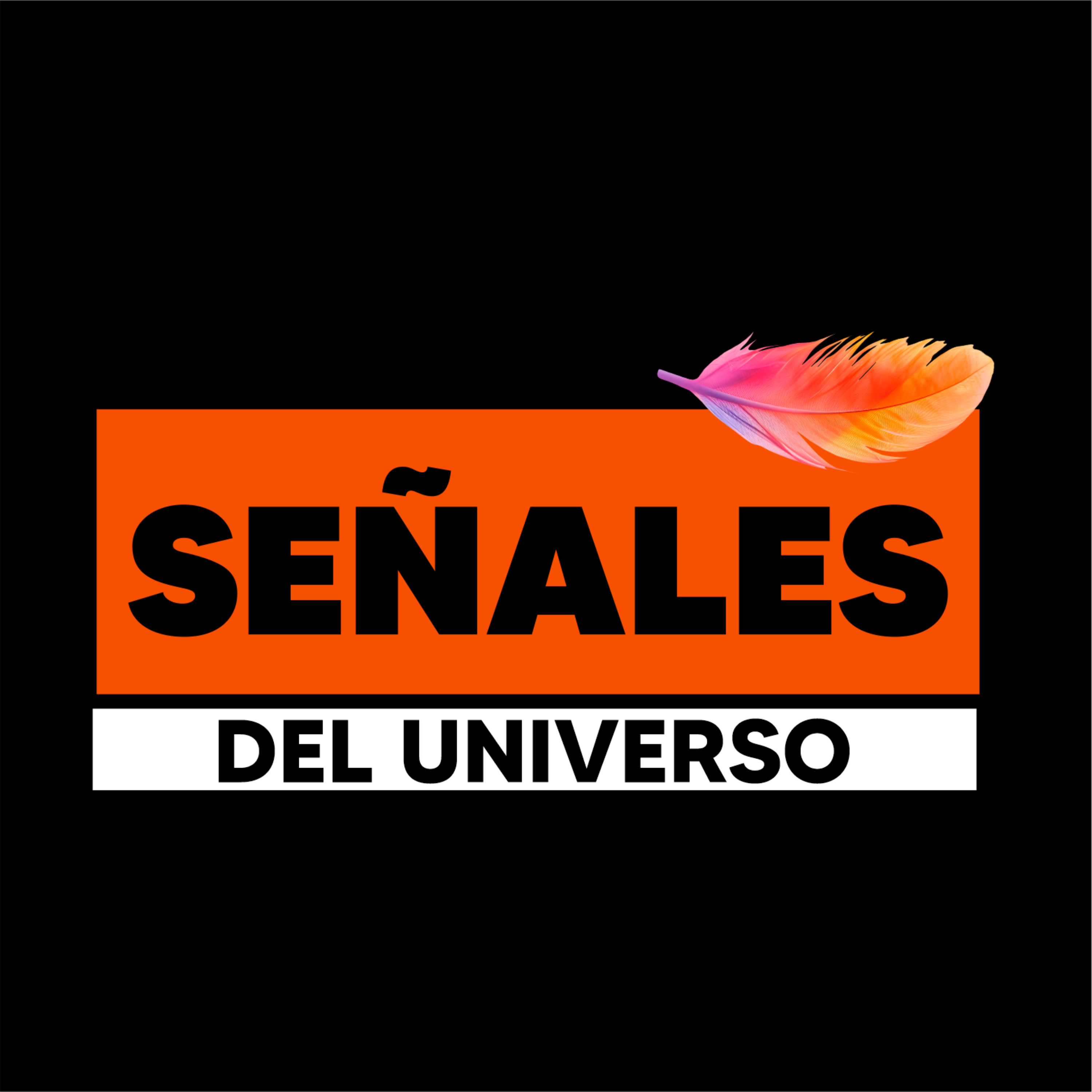 SEÑALES DEL UNIVERSO