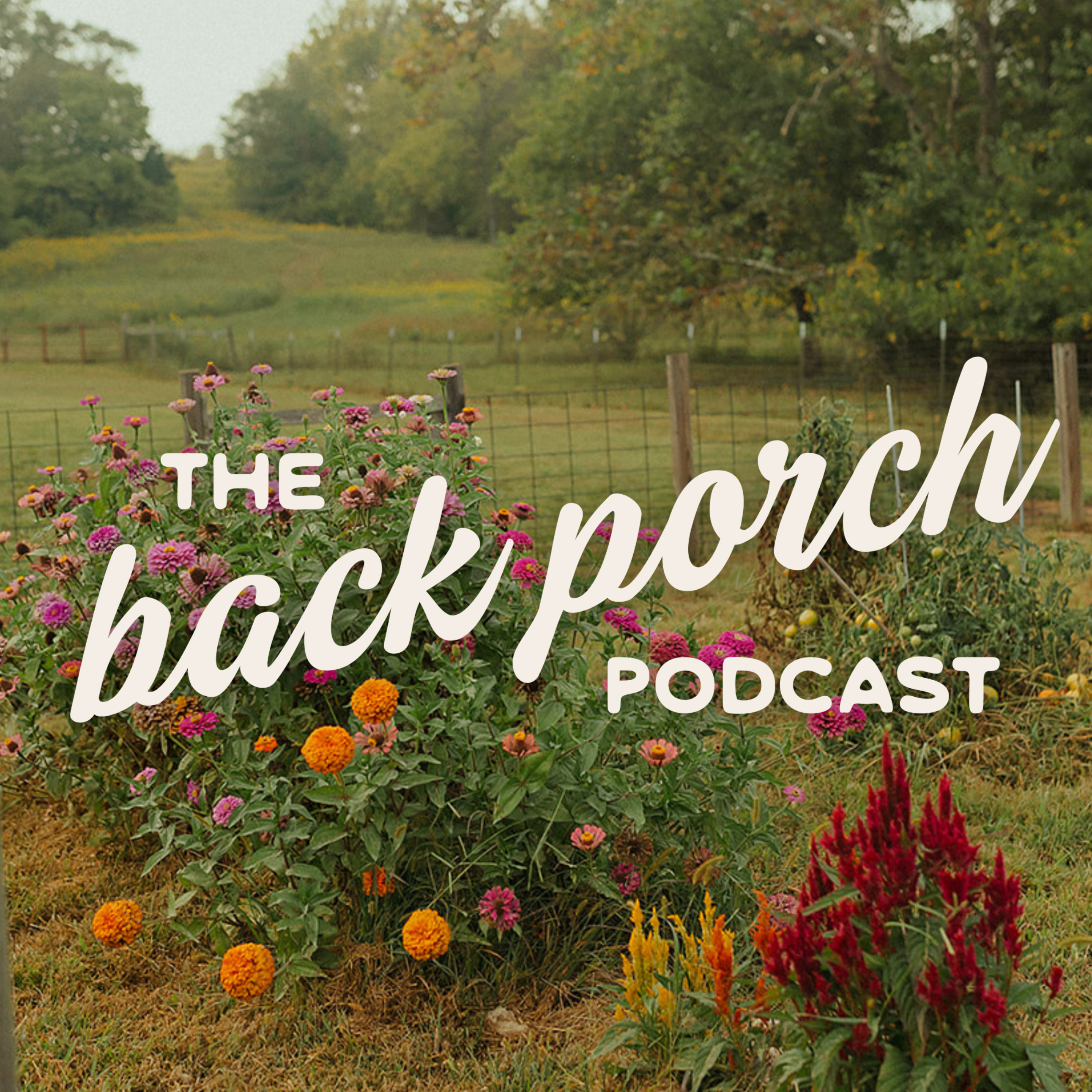 The Back Porch Podcast podcast artwork