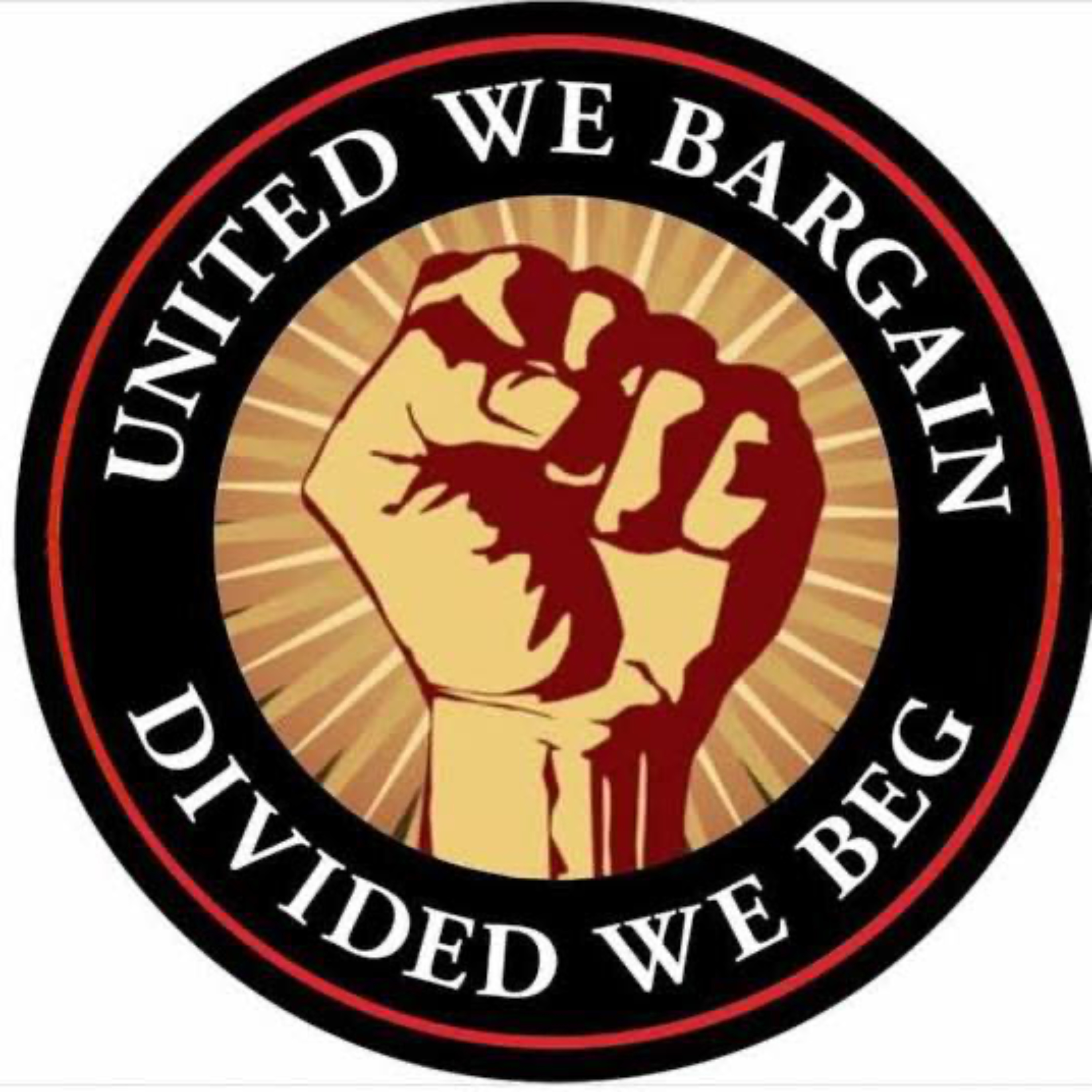 Solidarity Report