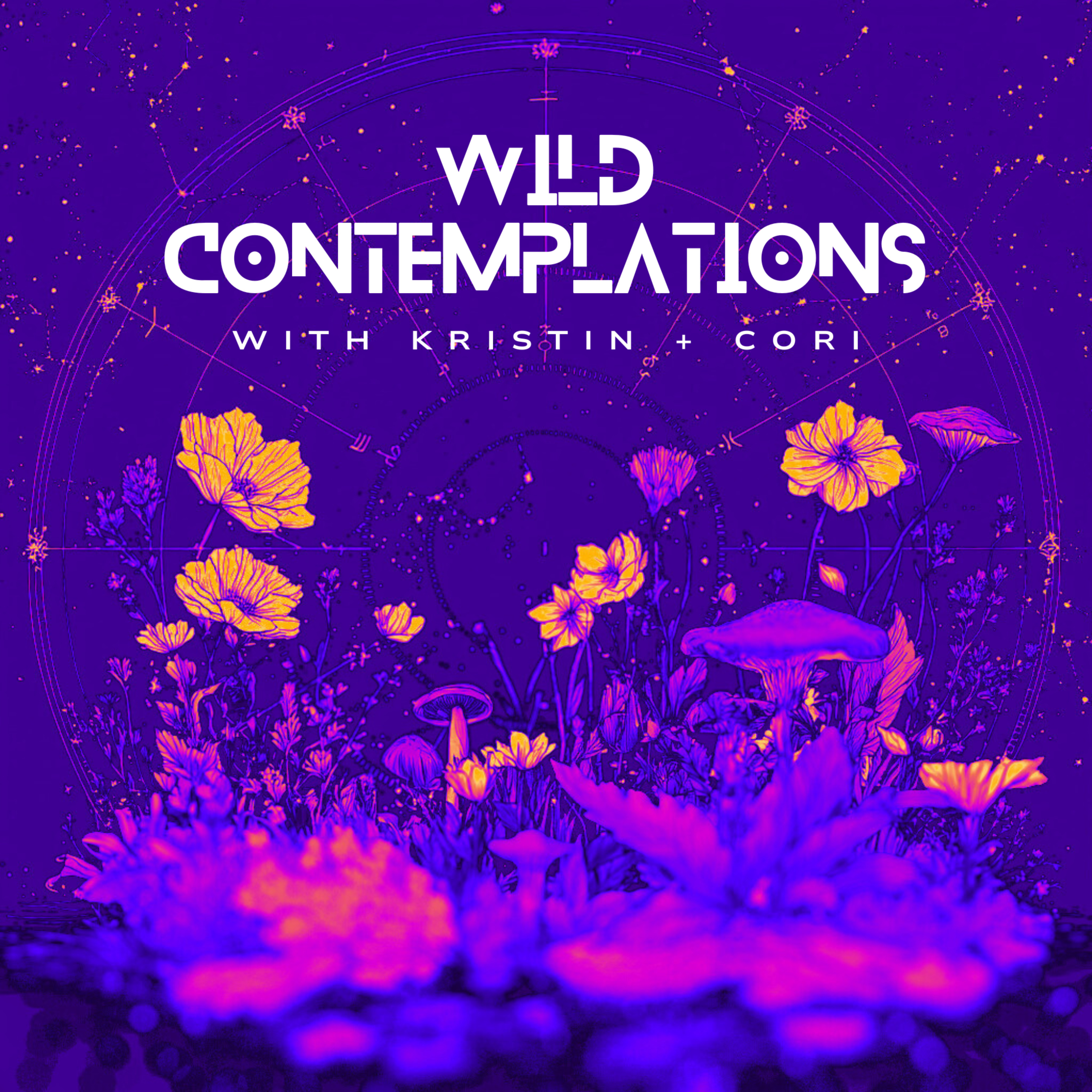 Wild Contemplations