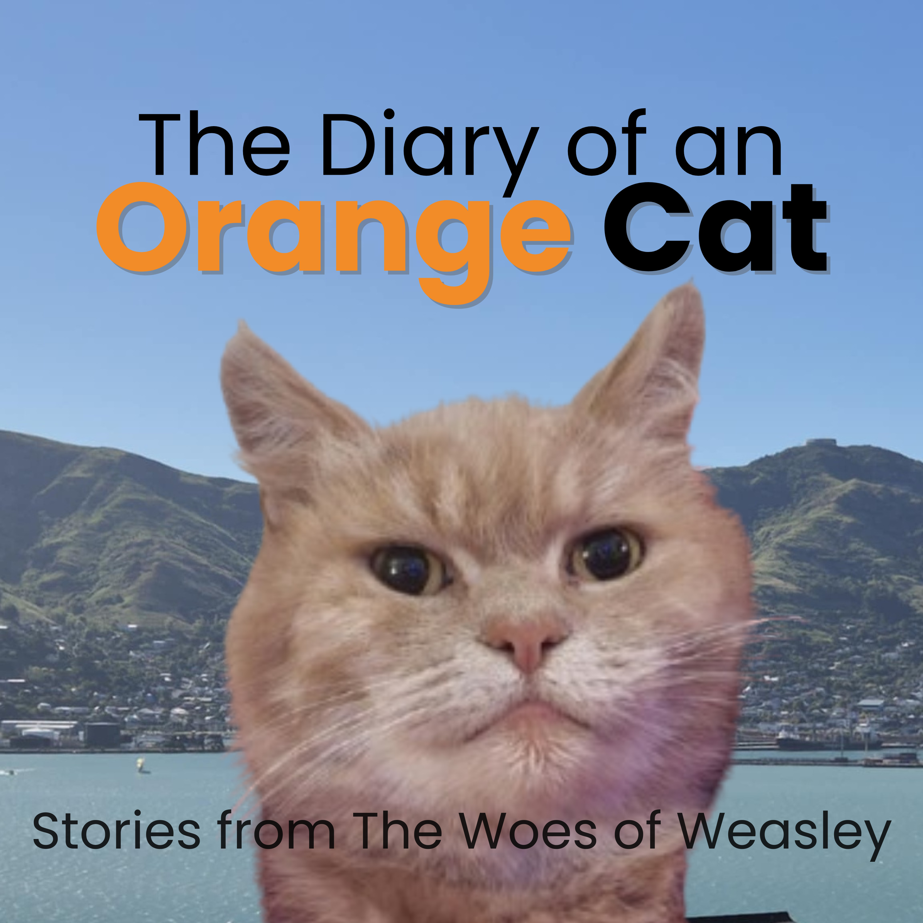 The Diary of an Orange Cat podcast artwork