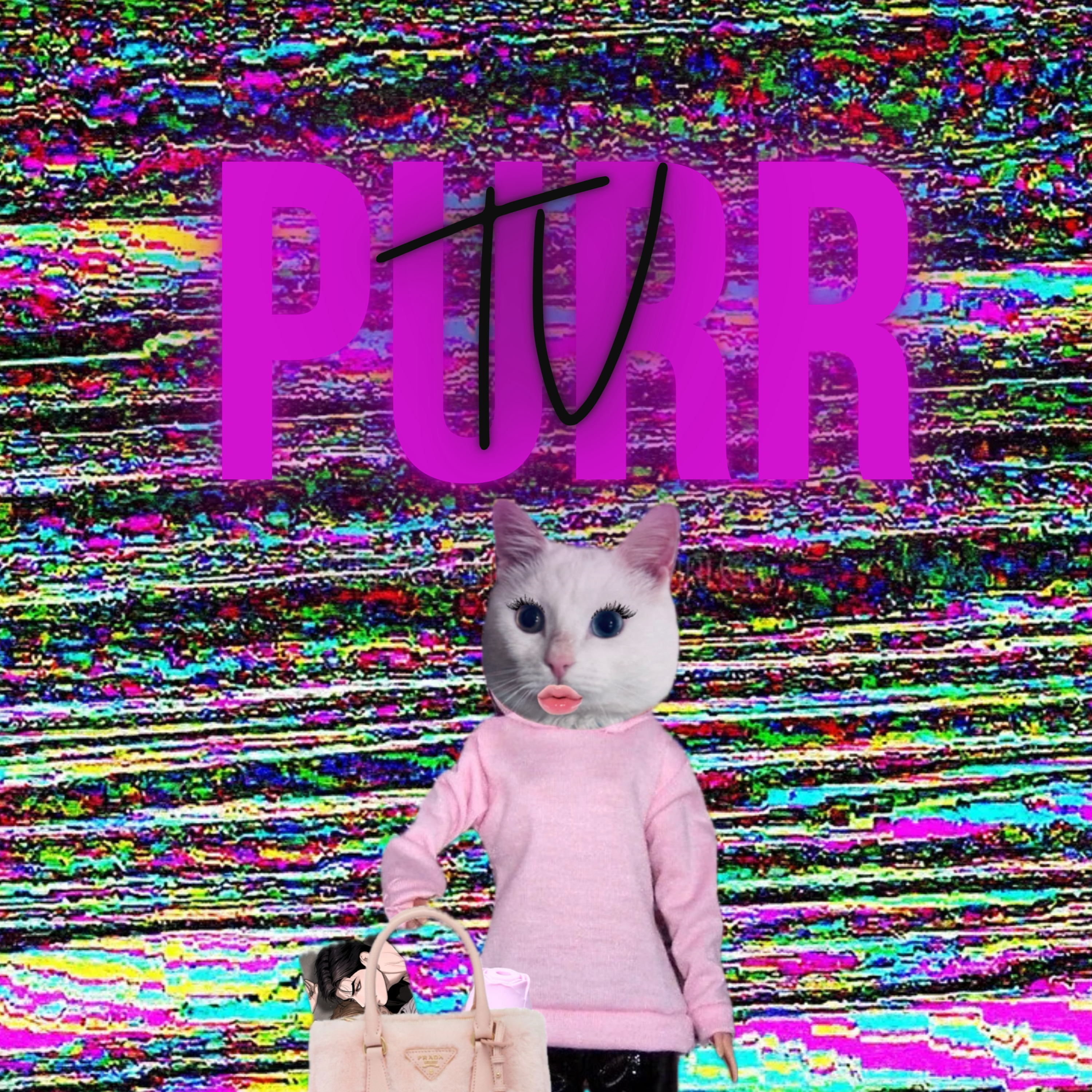 PurrTV