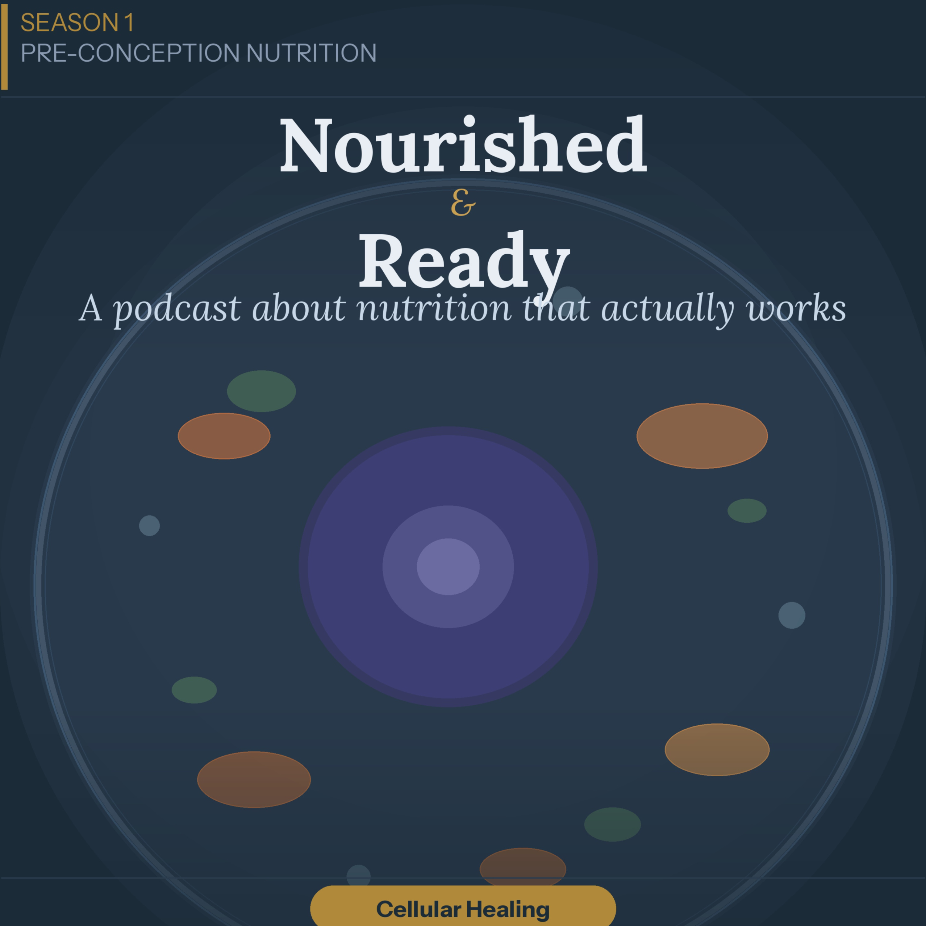 Nourished & Ready