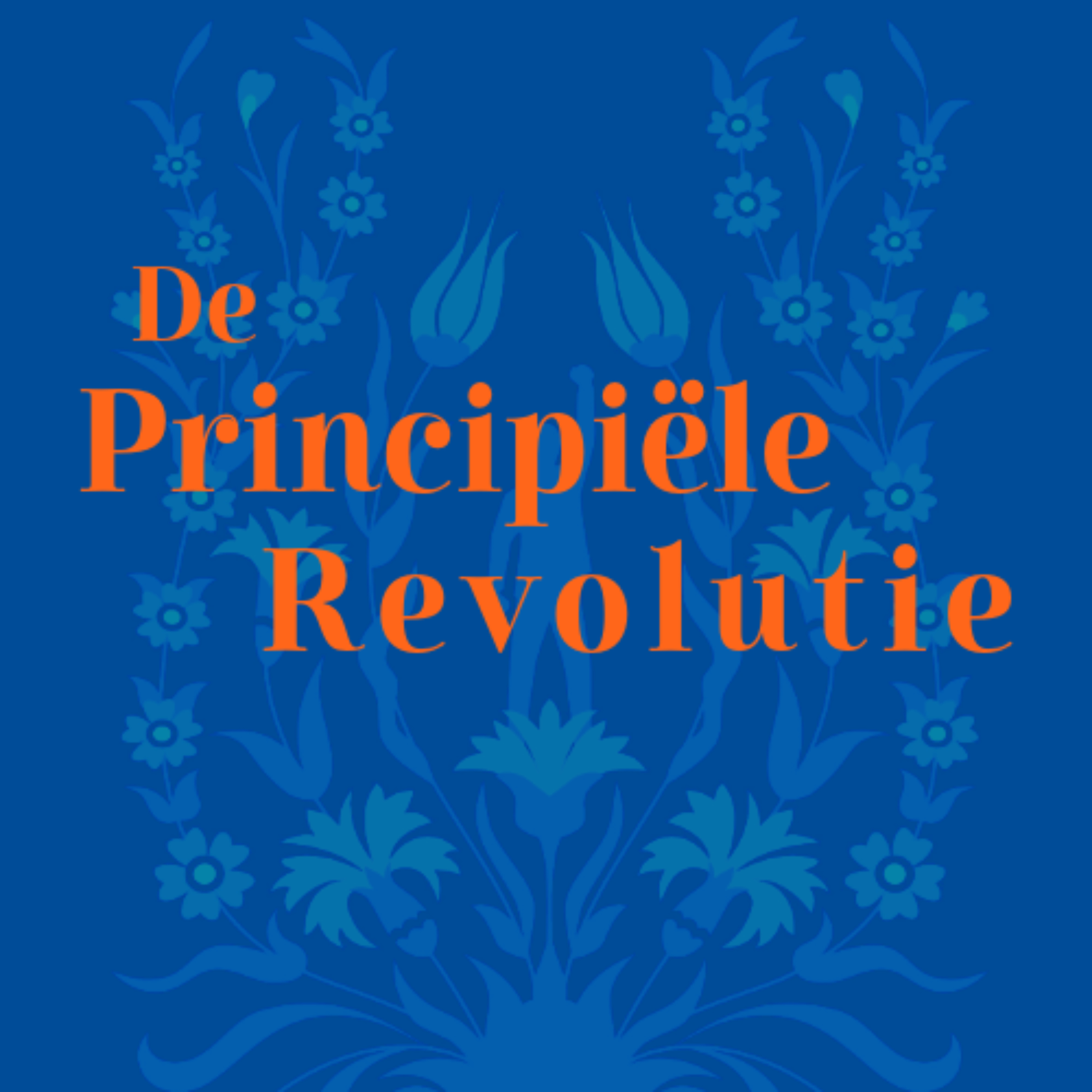 De Principiële Revolutie