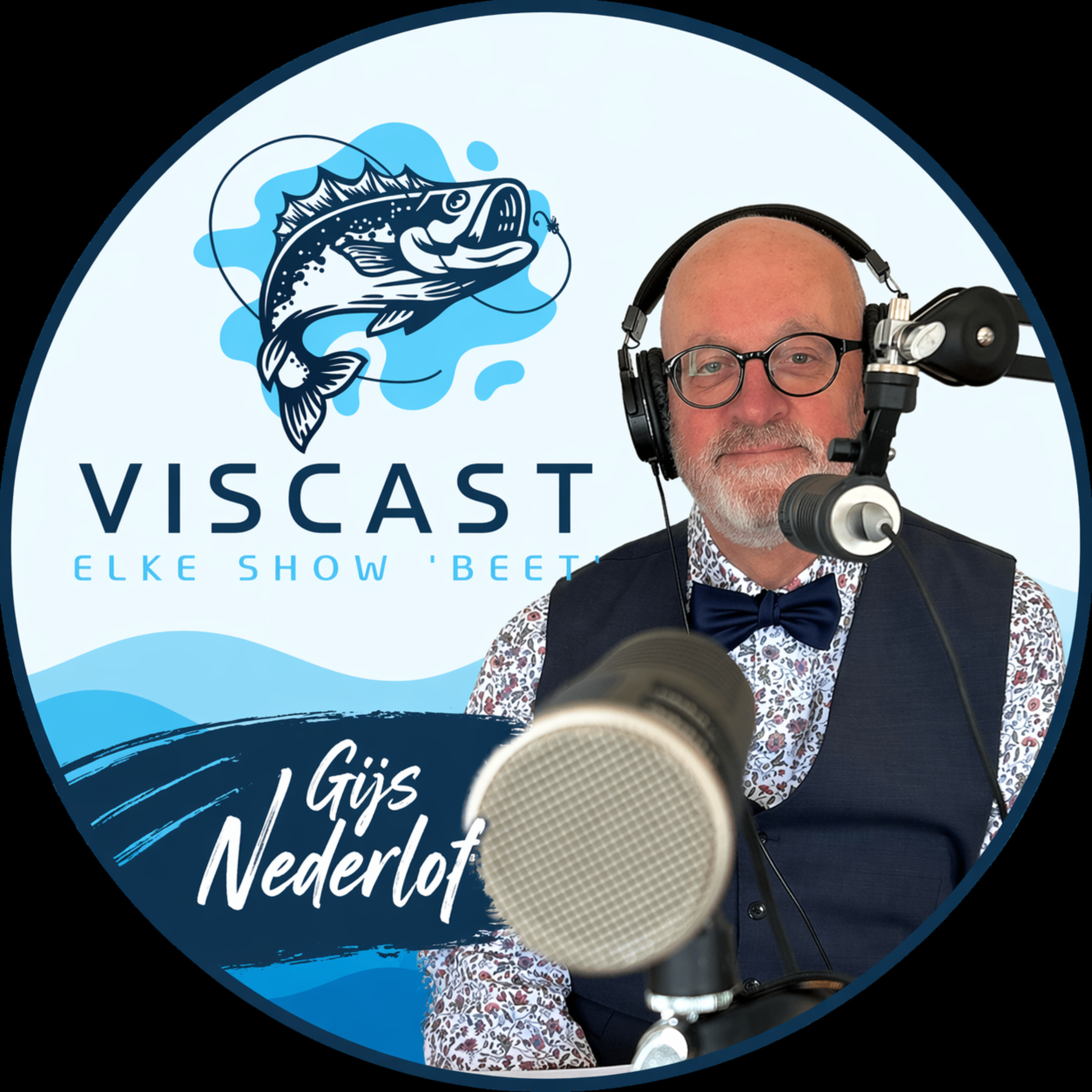 VISCAST.