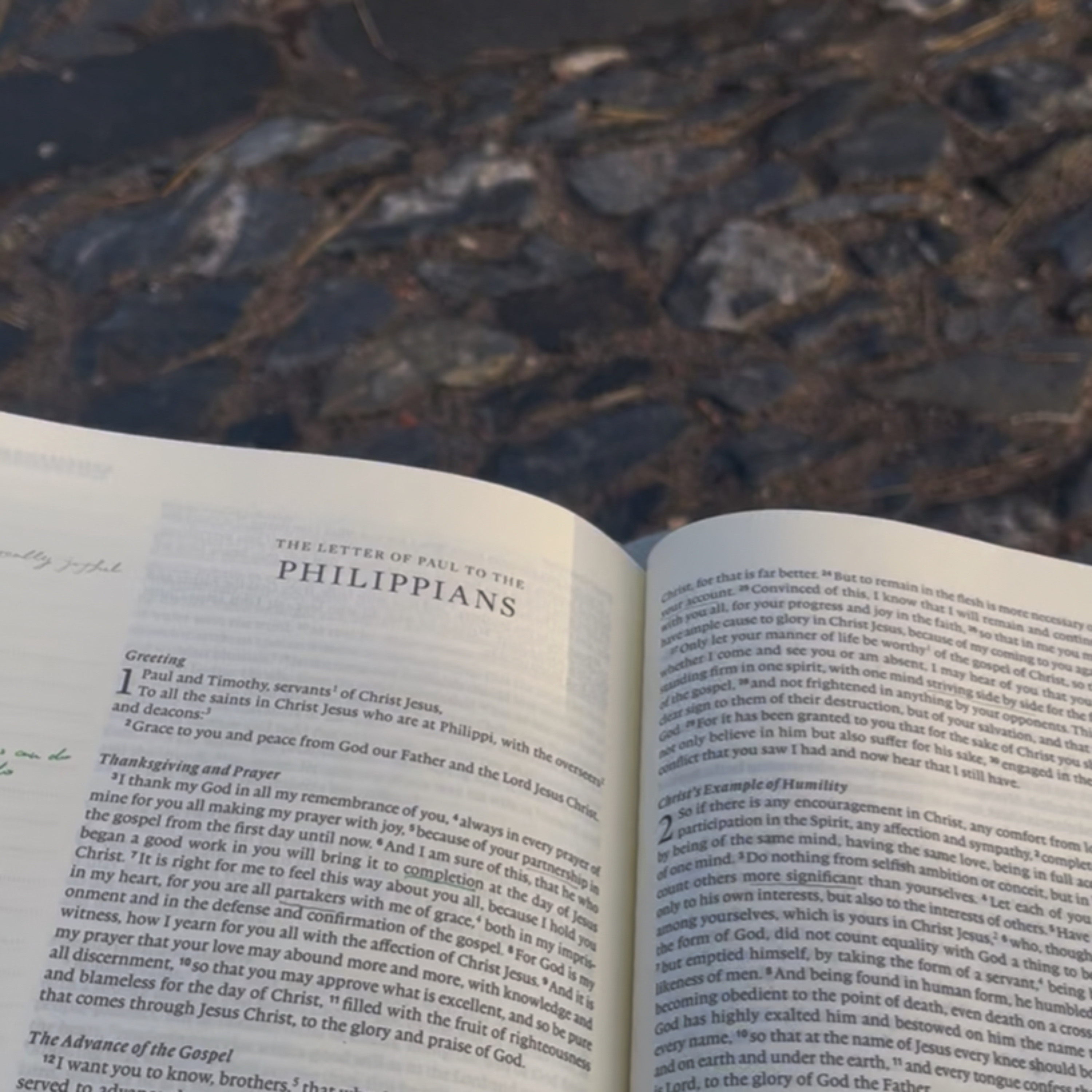 New Testament Reading With Karen