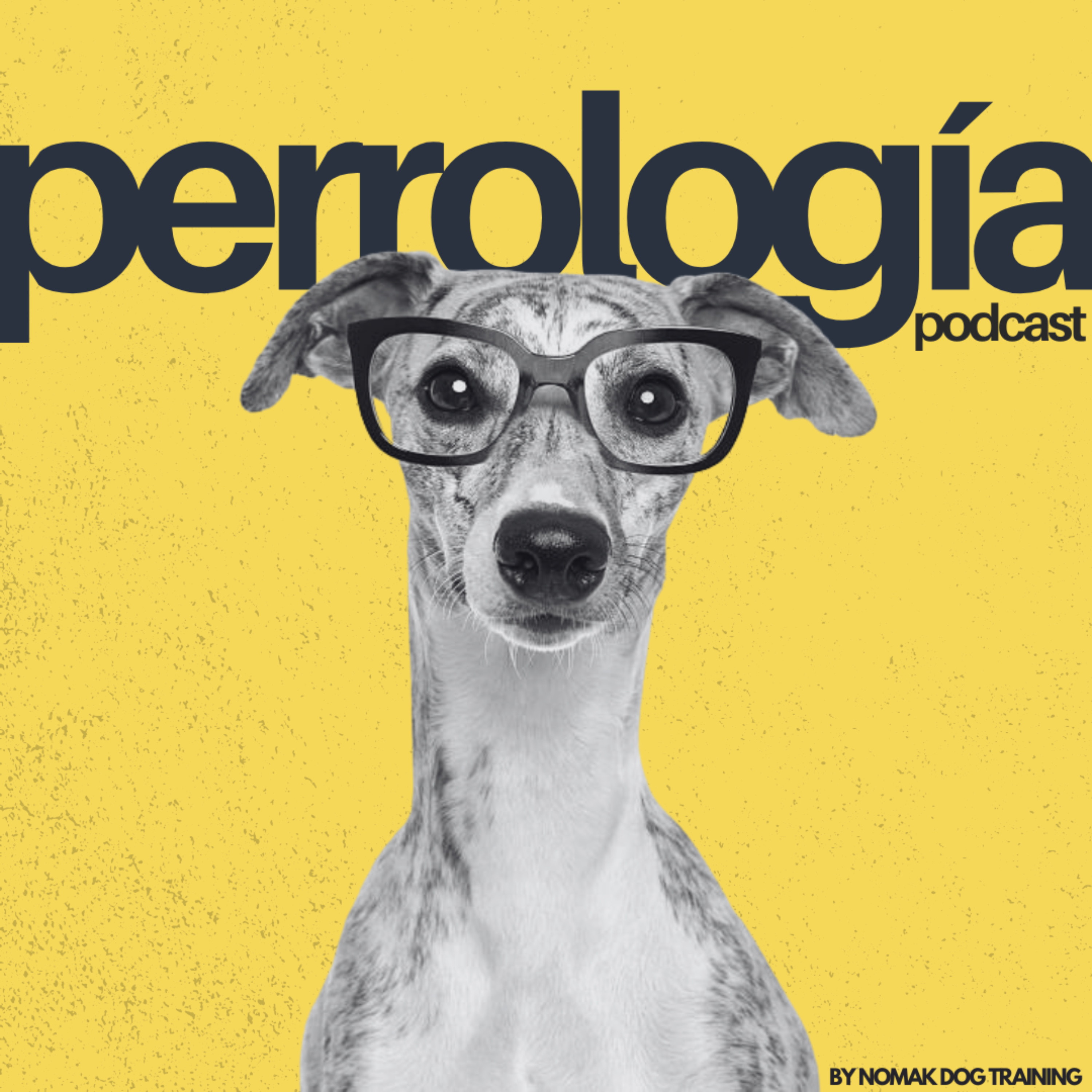 Perrología podcast artwork