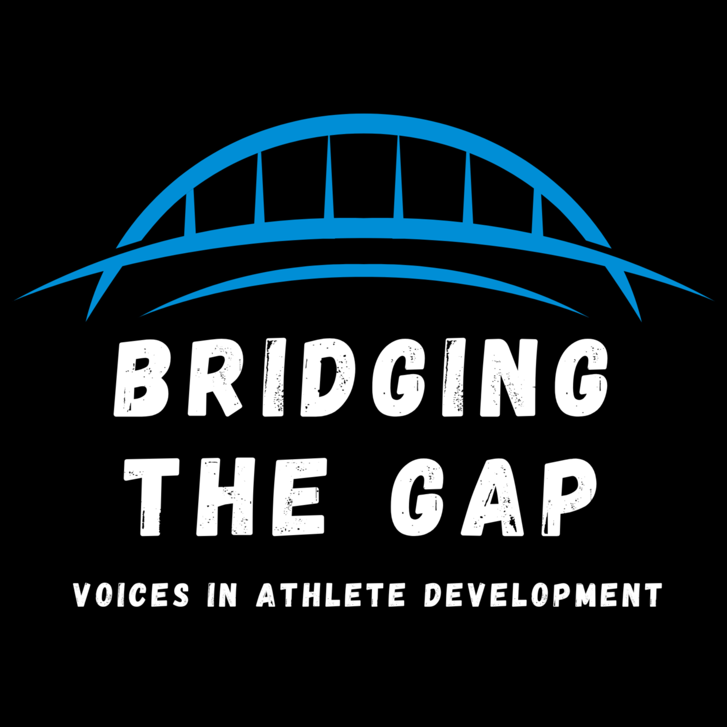 Bridging The Gap - Voices in Athlete Development podcast artwork
