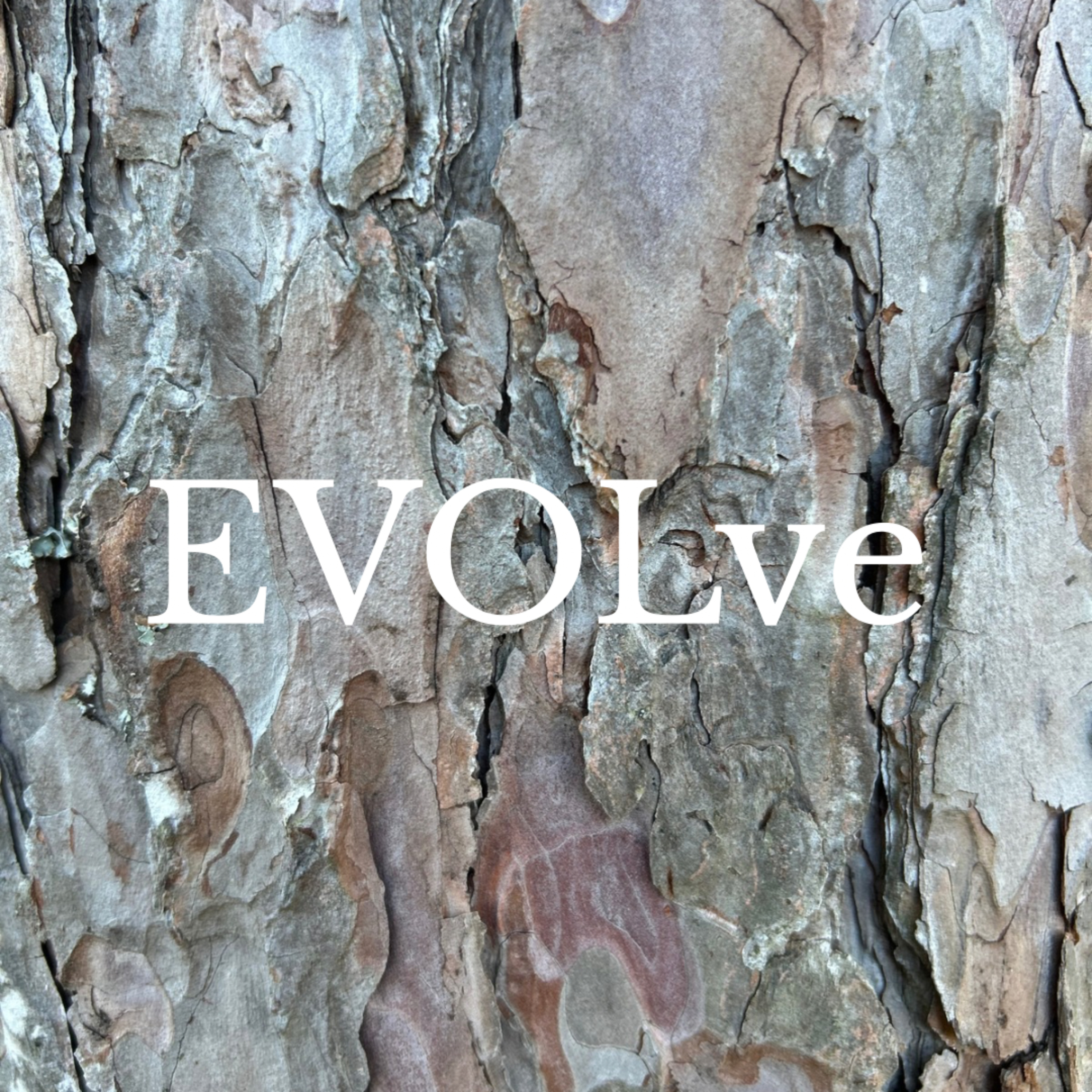 Evolve Love podcast artwork