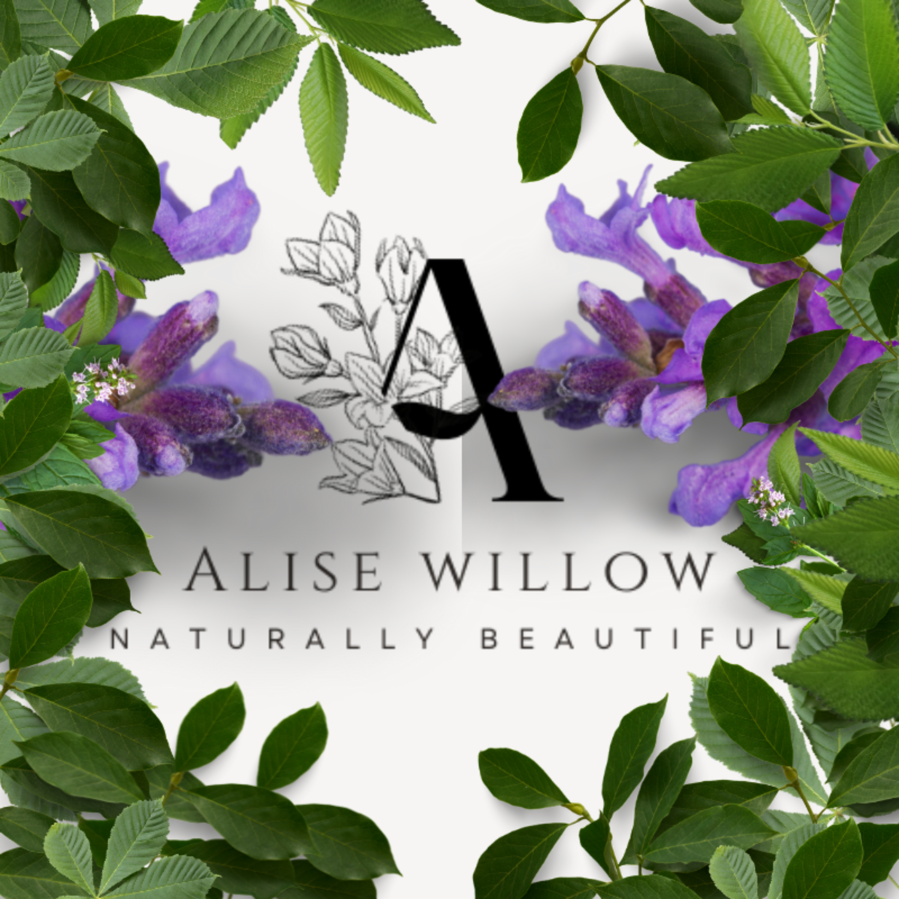 Alise Willow - Naturally Beautiful (Holistic Healing Inside & Out)