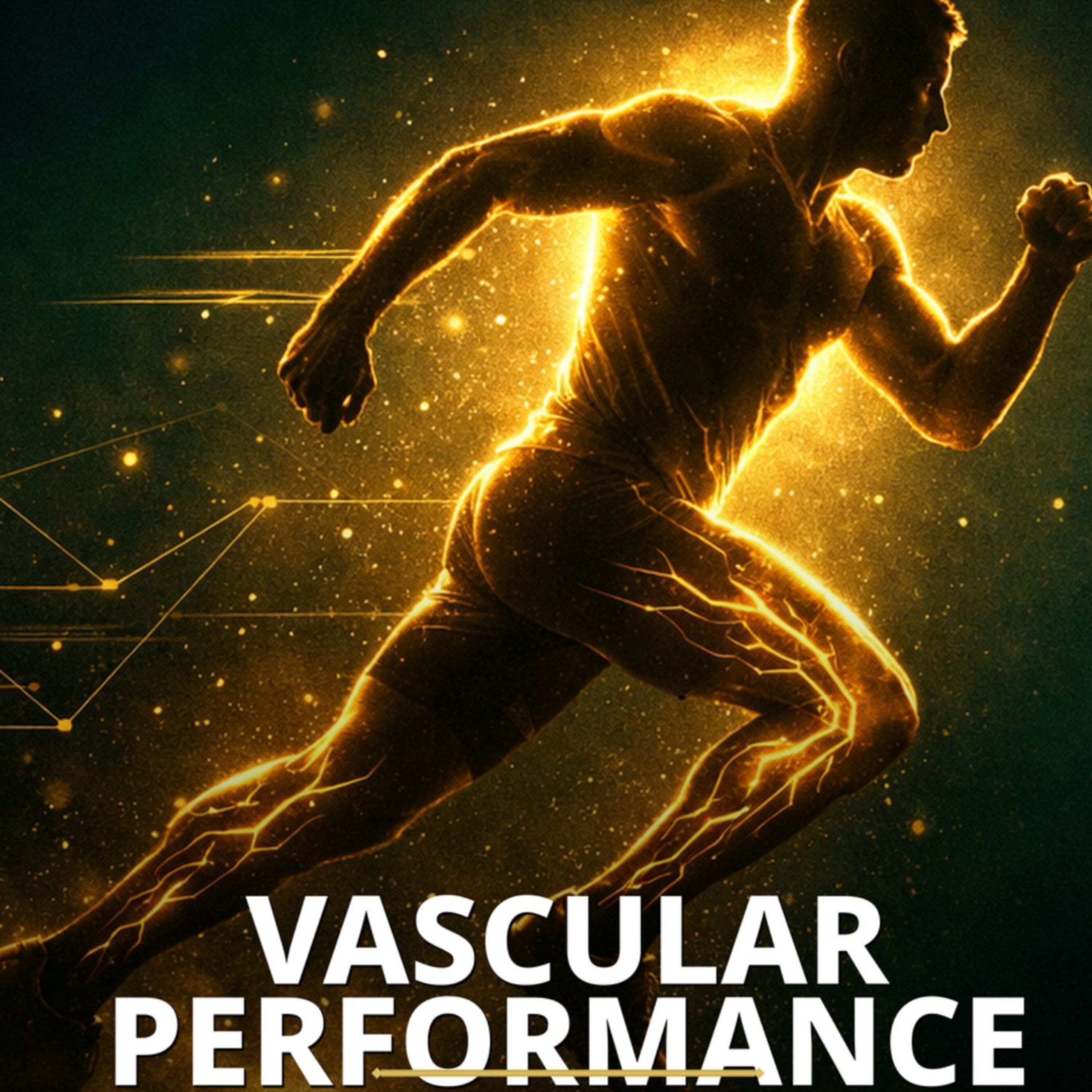 Vascular Performance