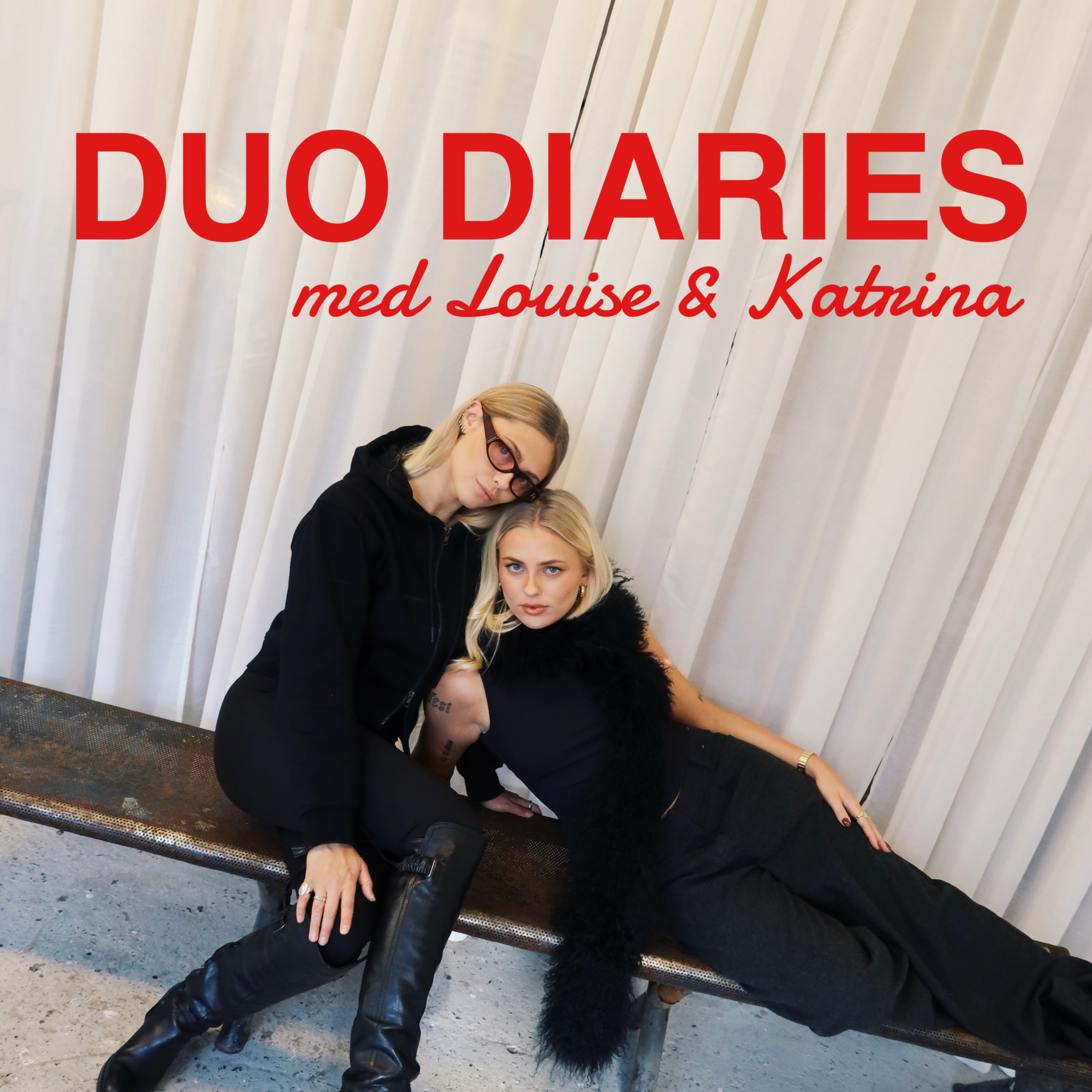 Duo Diaries podcast artwork
