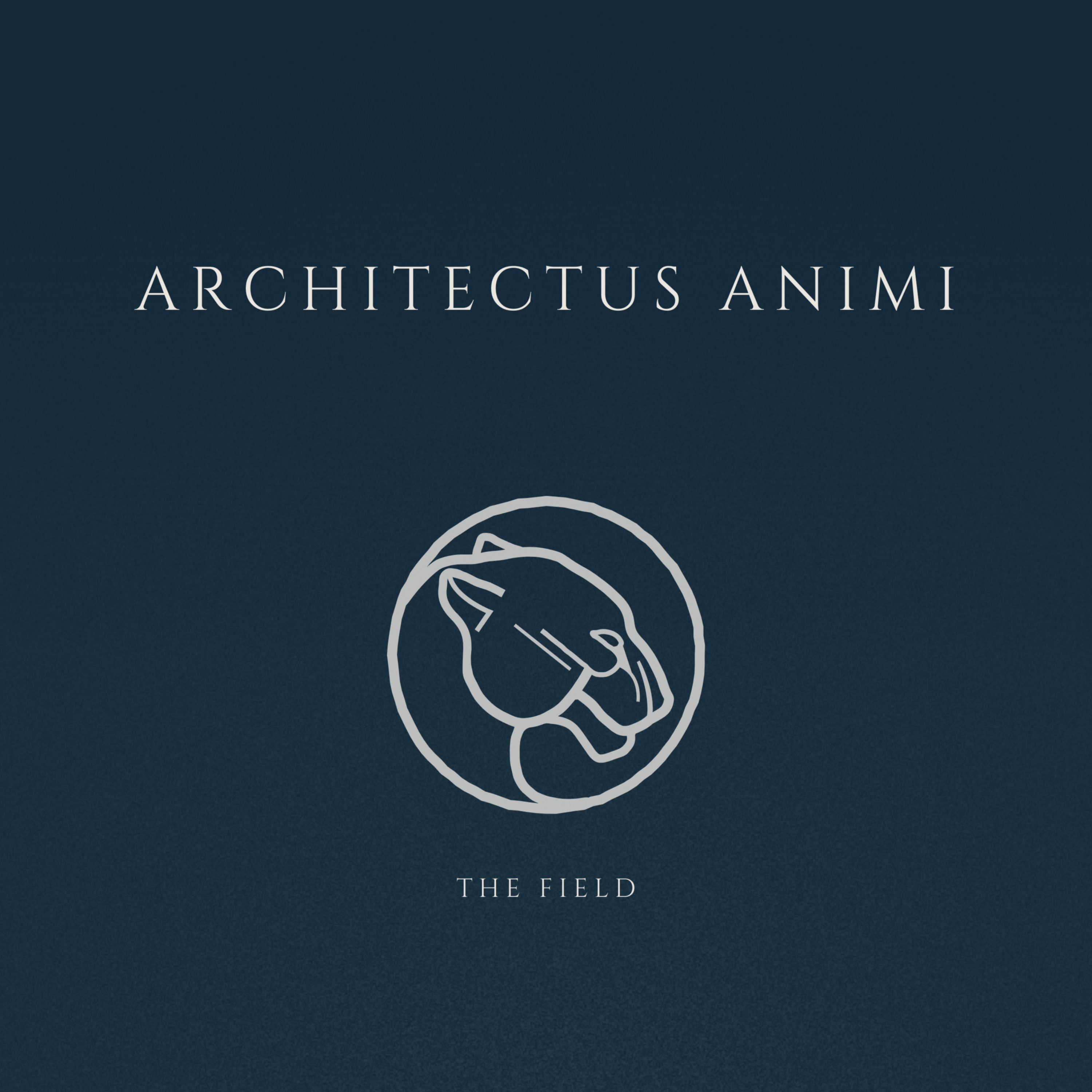 The Field • Architectus Animi