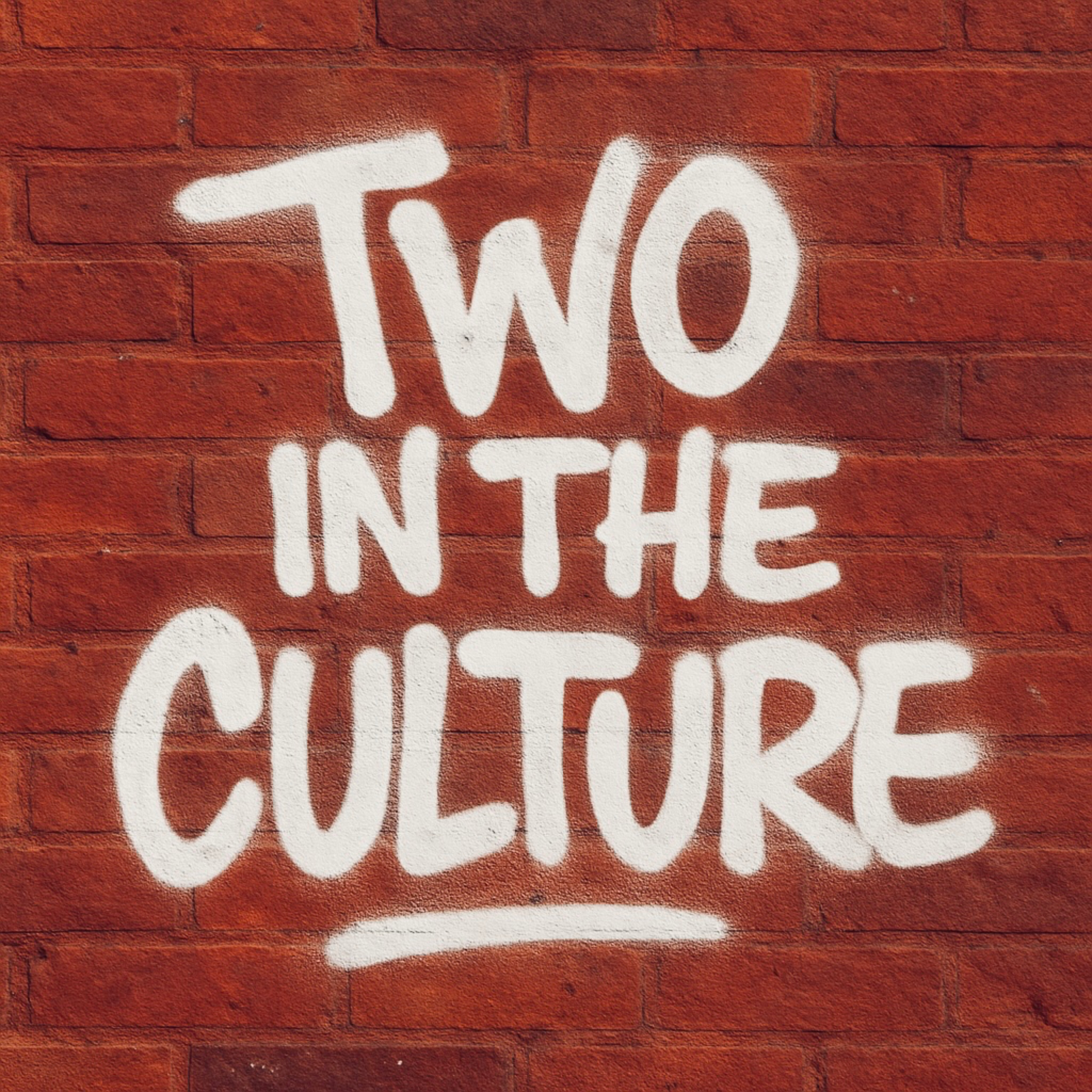 Two in the Culture podcast artwork
