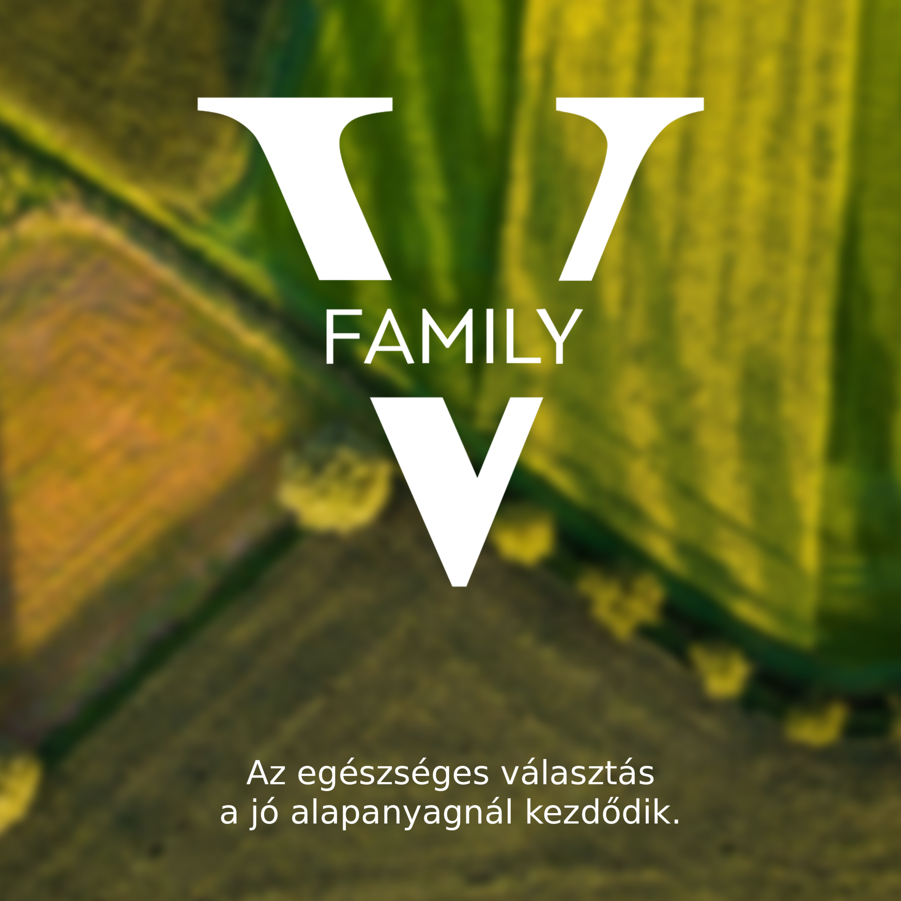 Valach Family – Receptek és alapanyagok