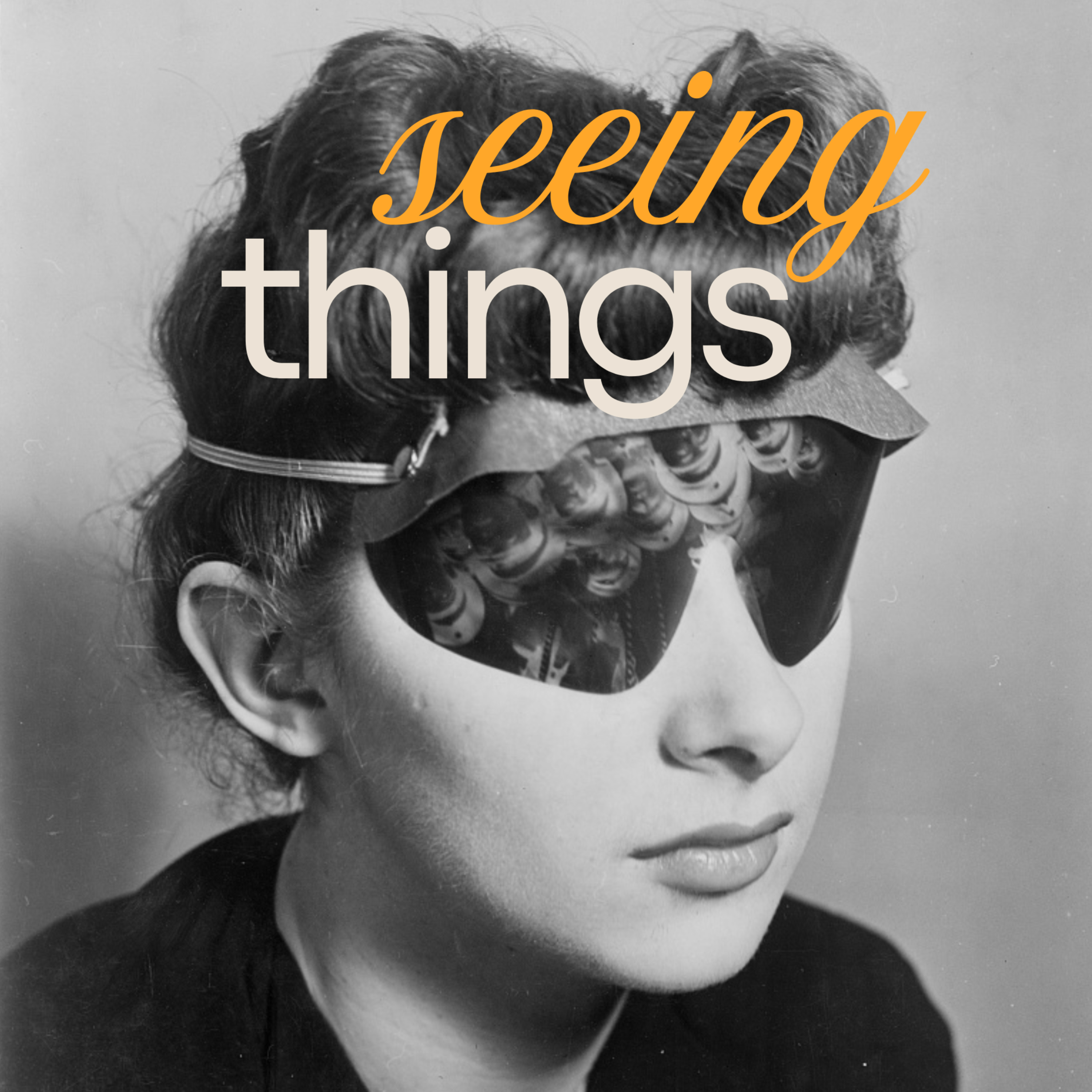 Seeing Things