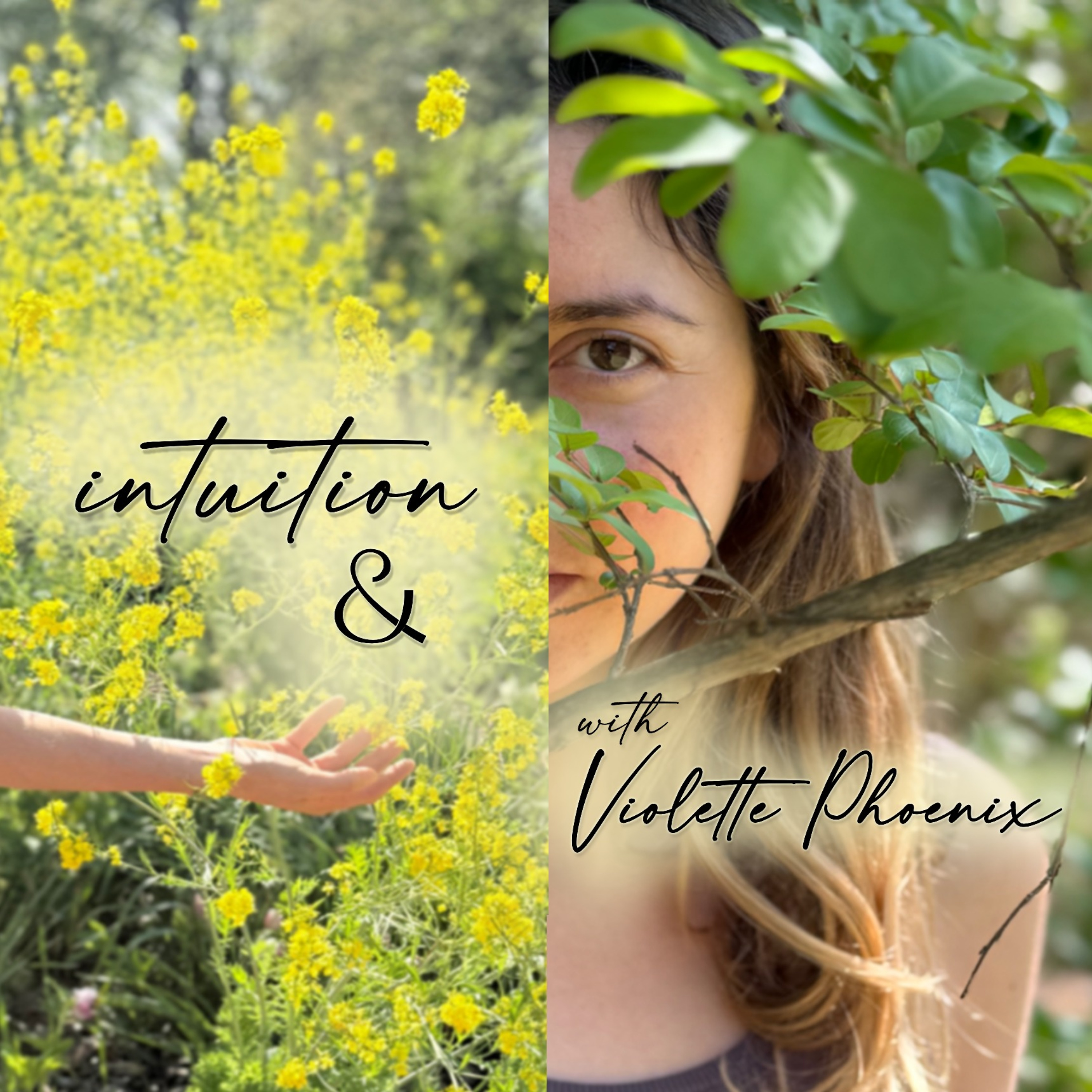 Intuition and Violette Phoenix (Intuition &)