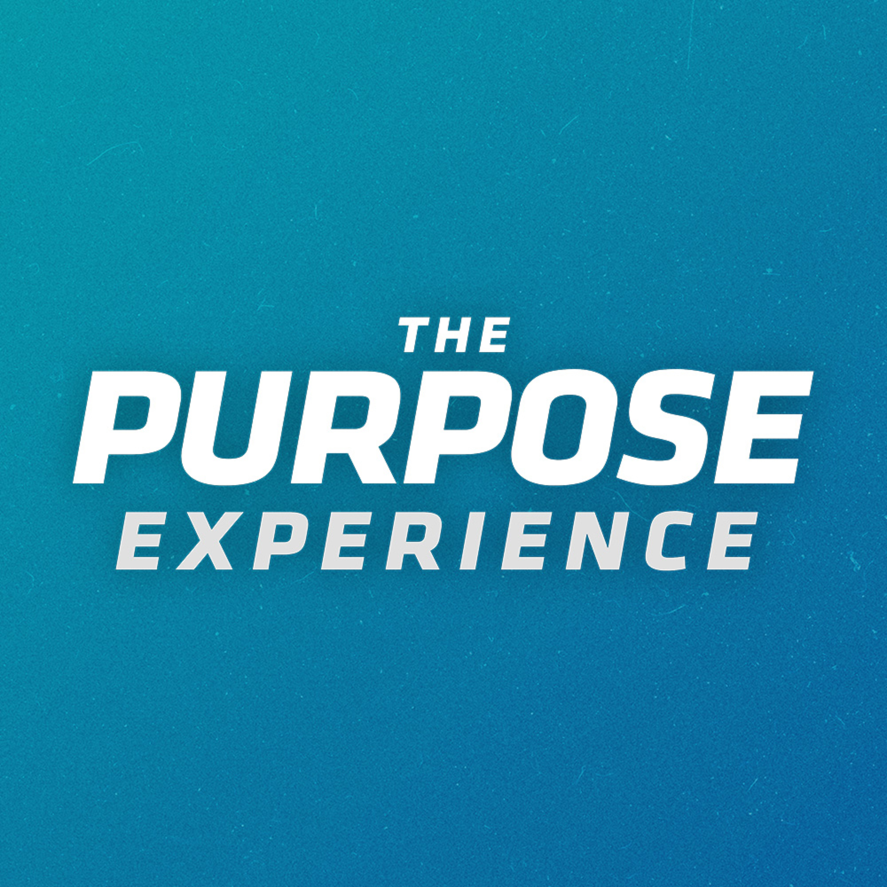 The Purpose Experience Podcast podcast artwork