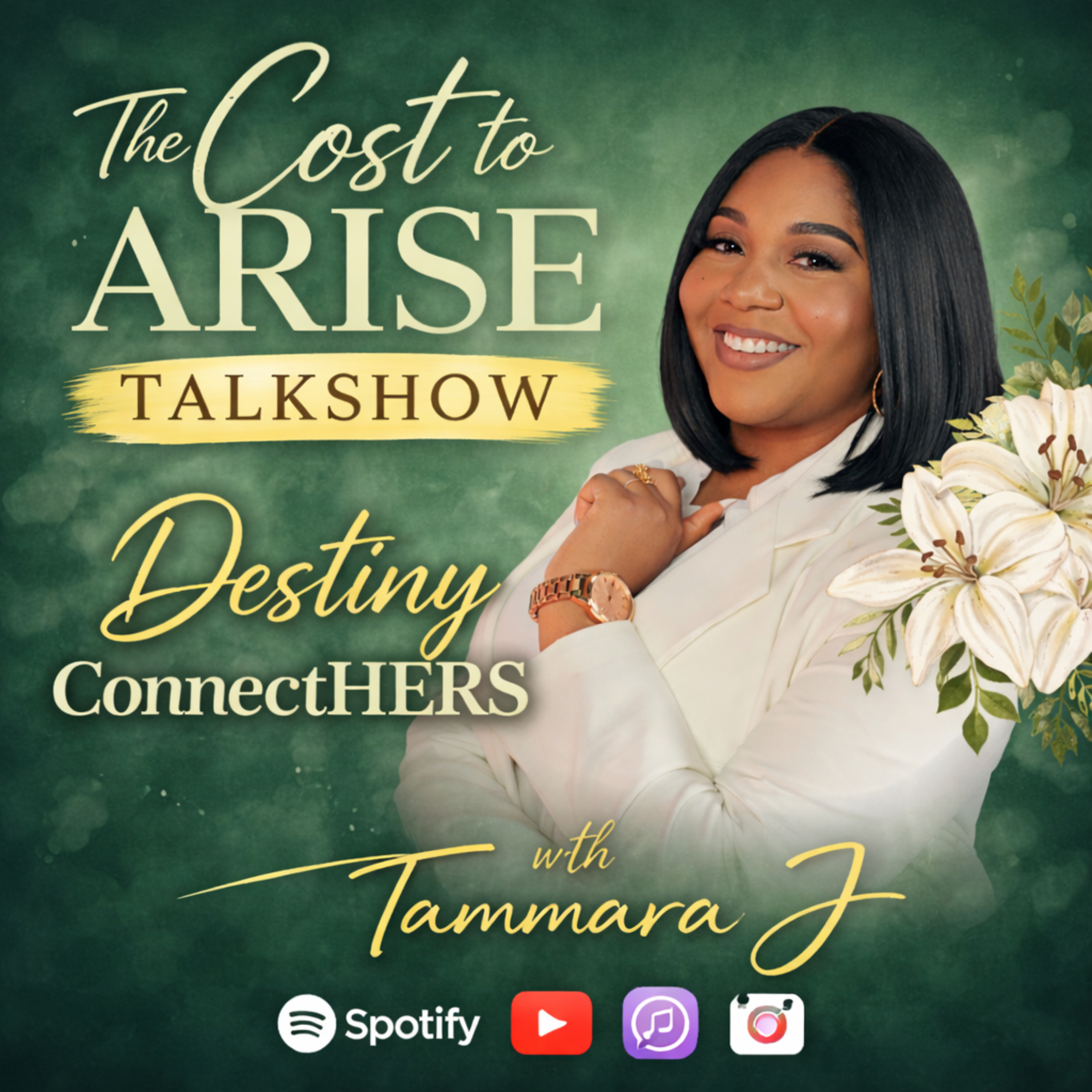 The Cost To Arise TalkShow