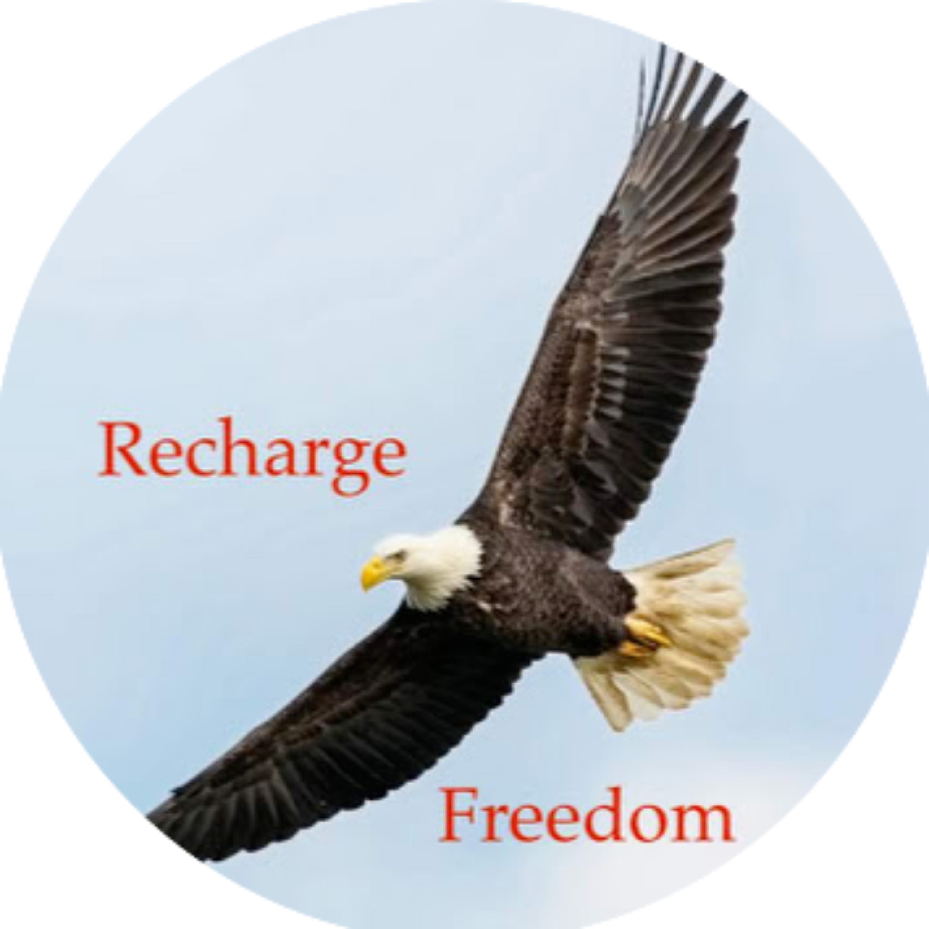 Recharge Freedom cover