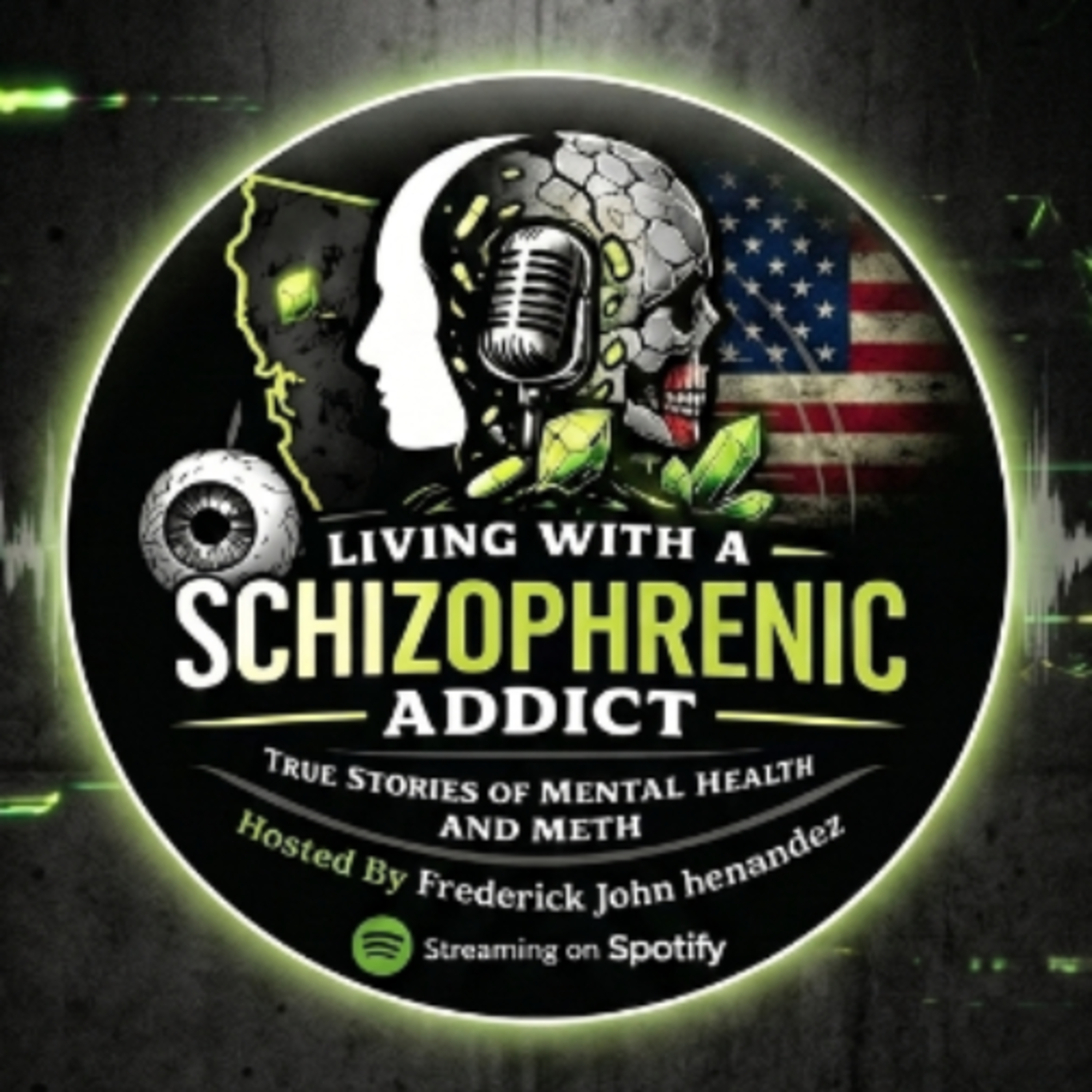 Living With a schizophrenic addict True stories of mental health and meth podcast artwork