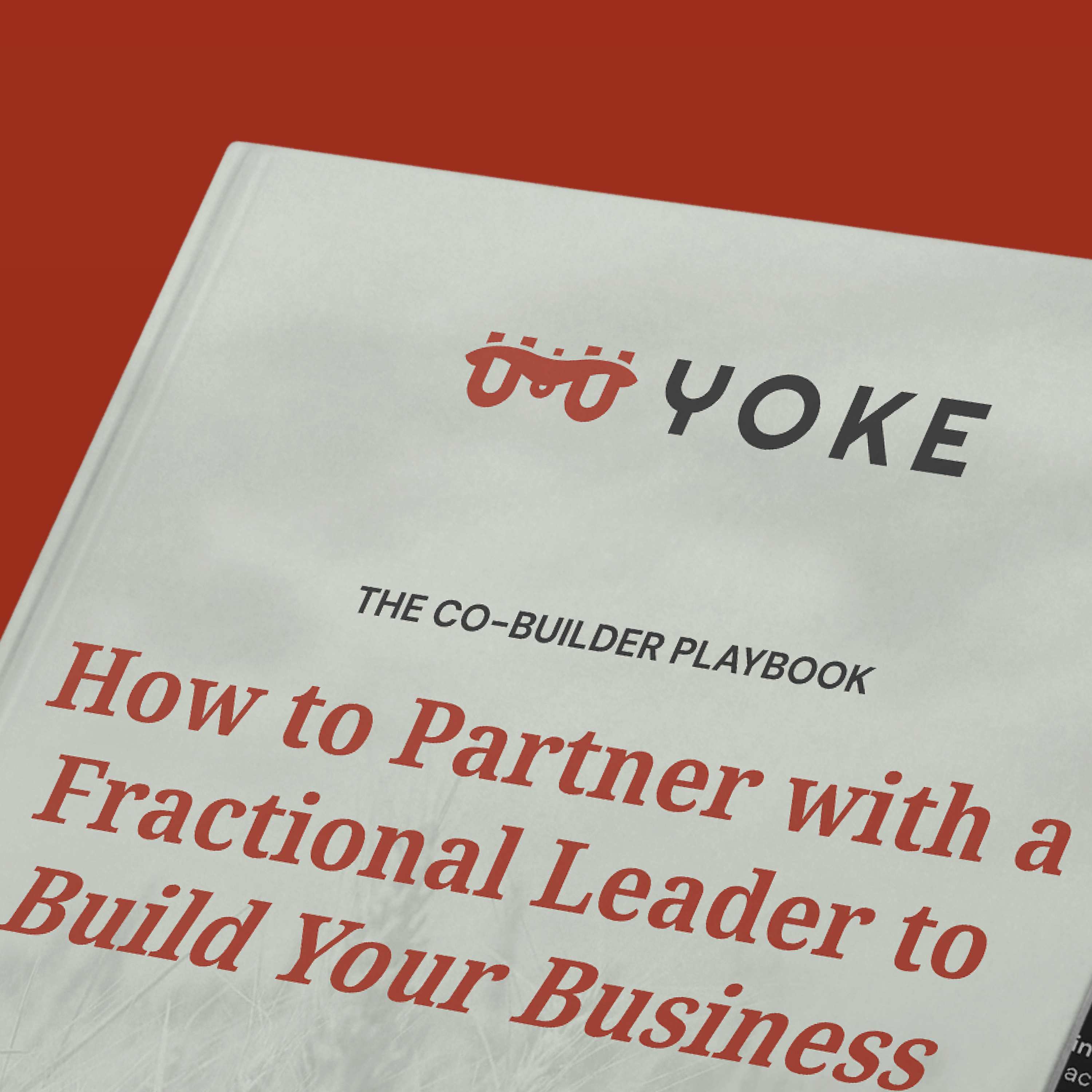 The Co-Builder Playbook: How to Partner with a Fractional Leader to Build Your Business
