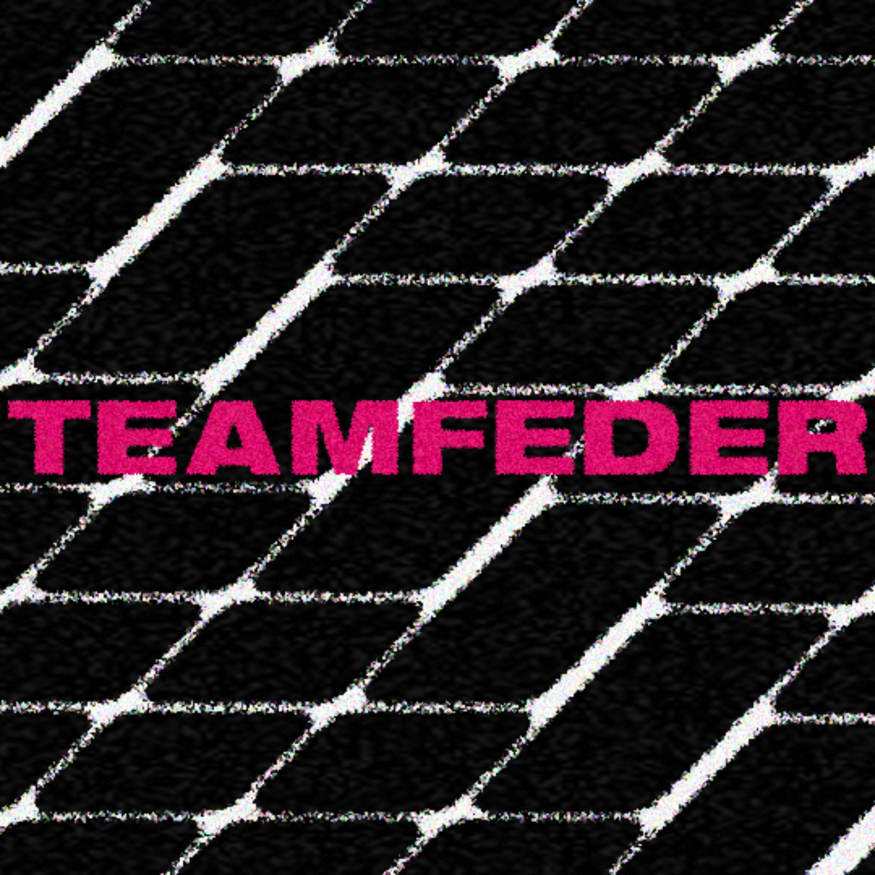 Teamfeder Podcast