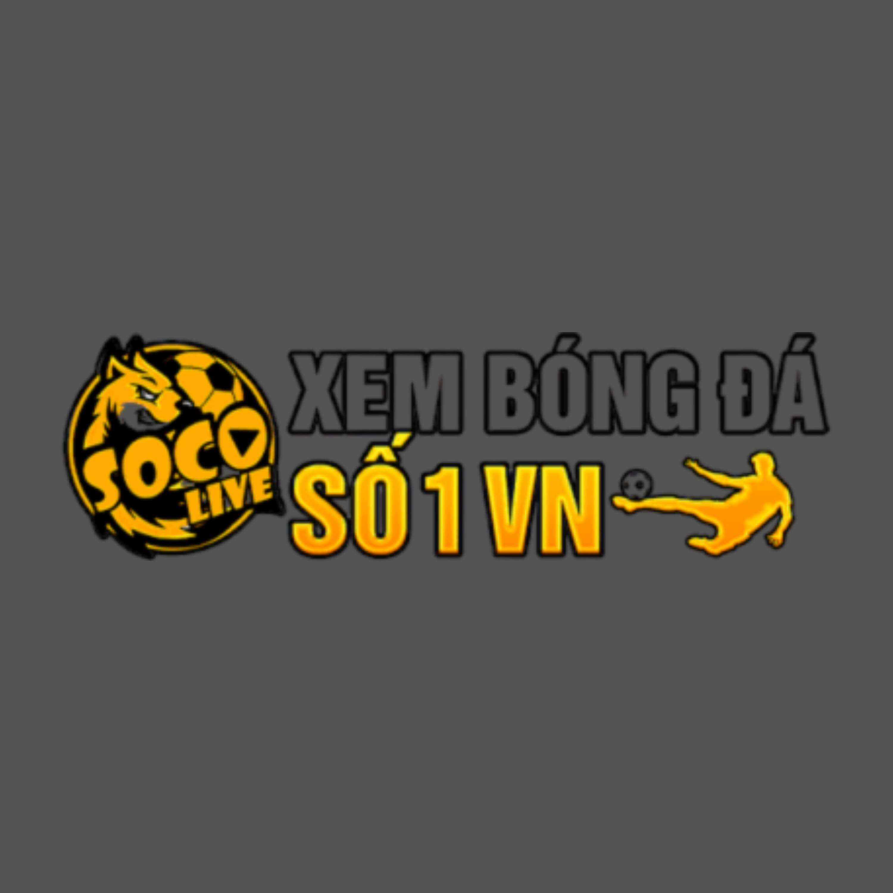 Socolive-socolive.com.im cover