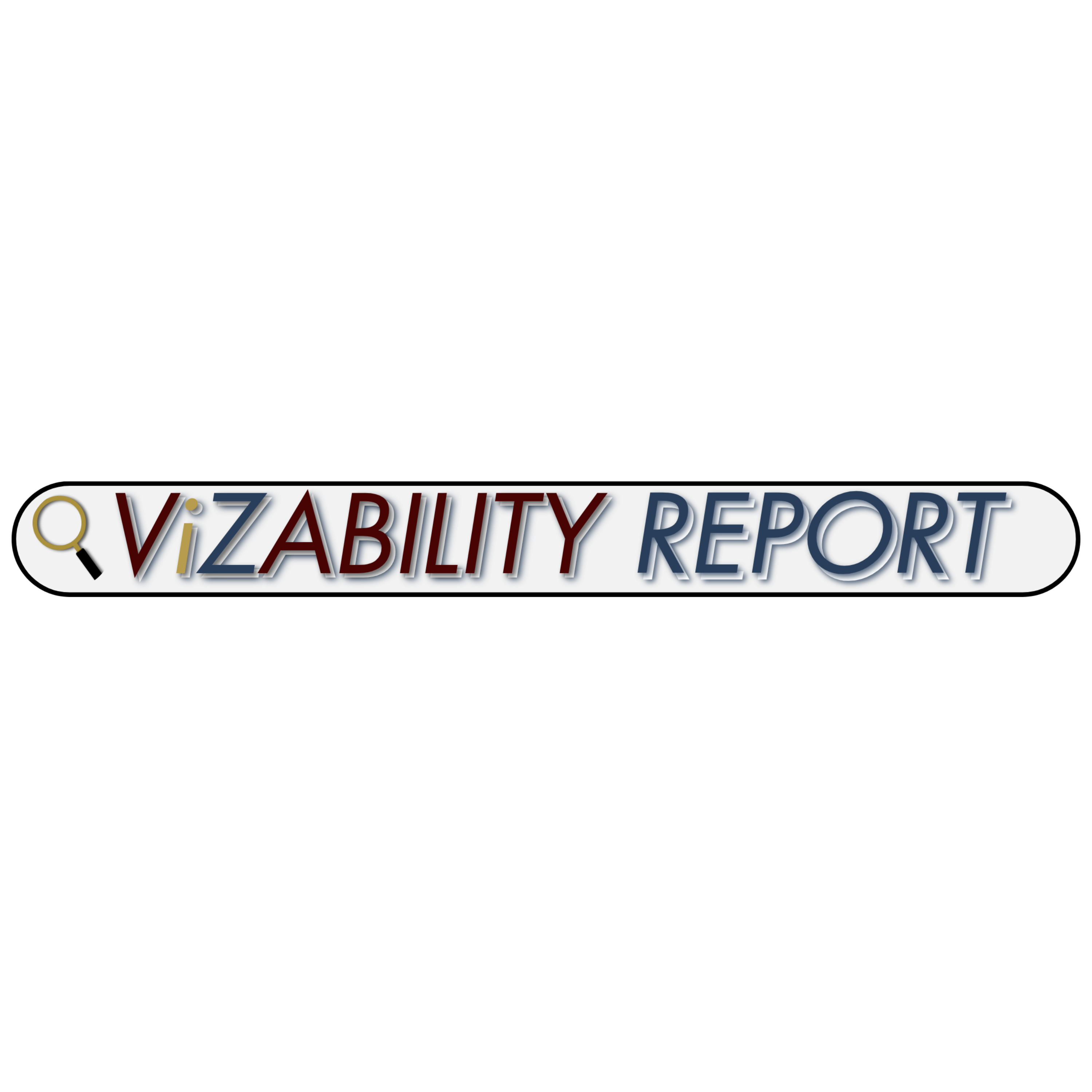 The Vizability Report