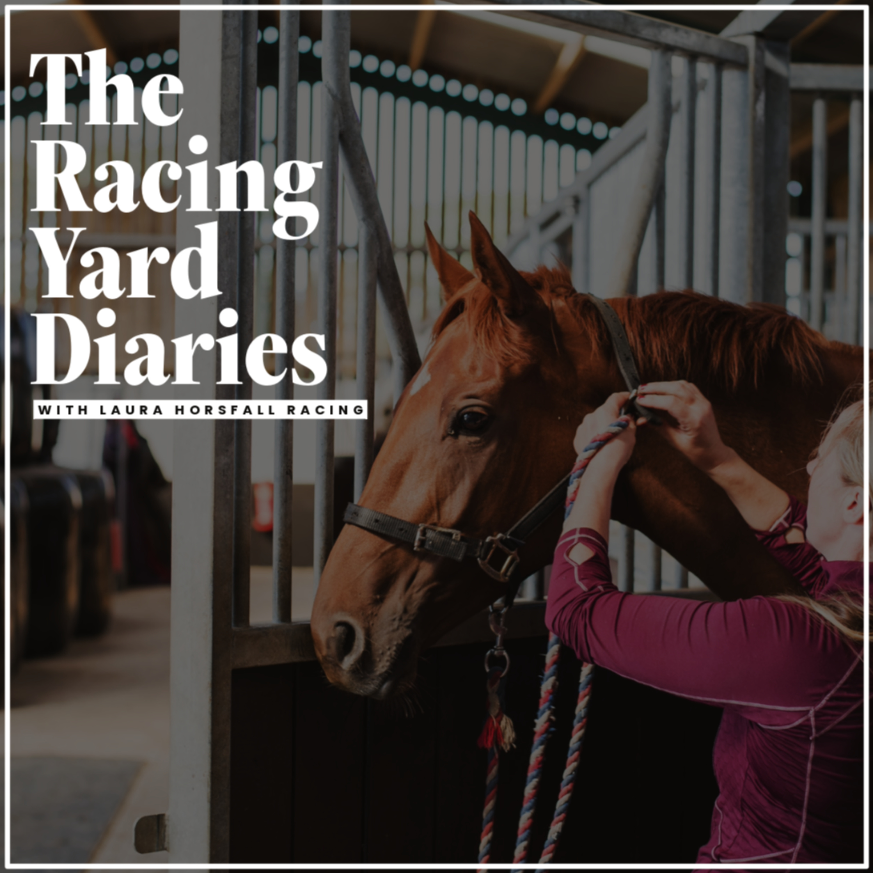 The Racing Yard Diaries