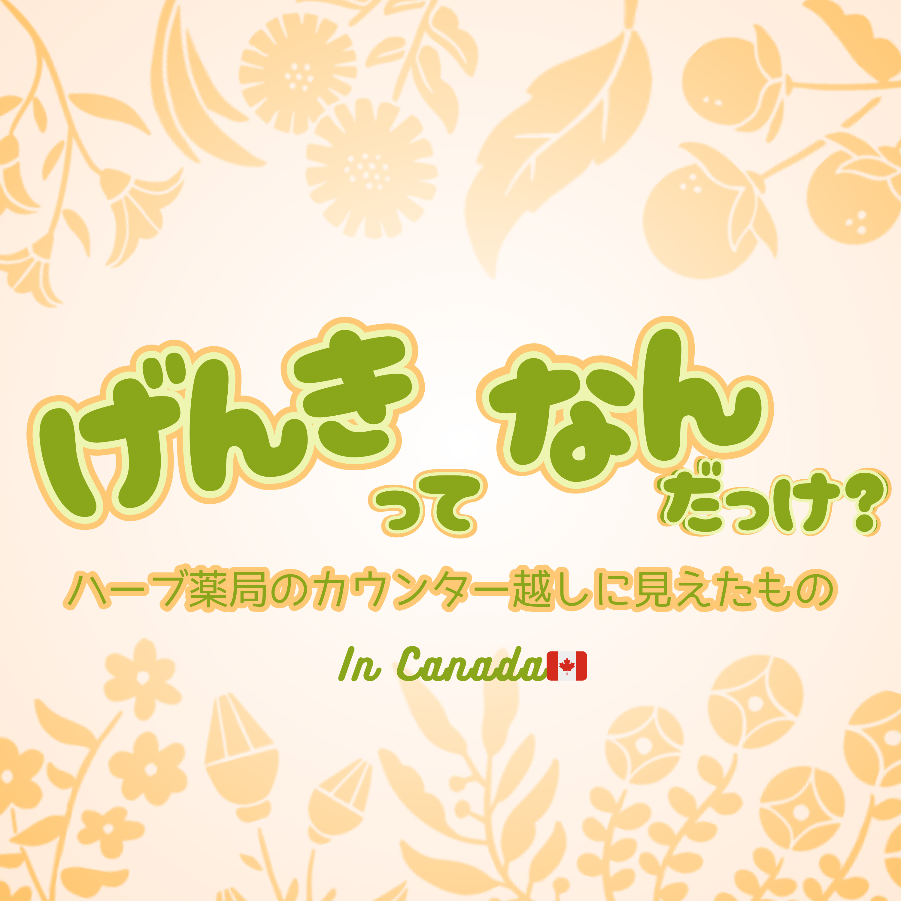 元気ってなんだっけ 〜 ハーブ薬局のカウンター越しに見えたもの in canada 〜