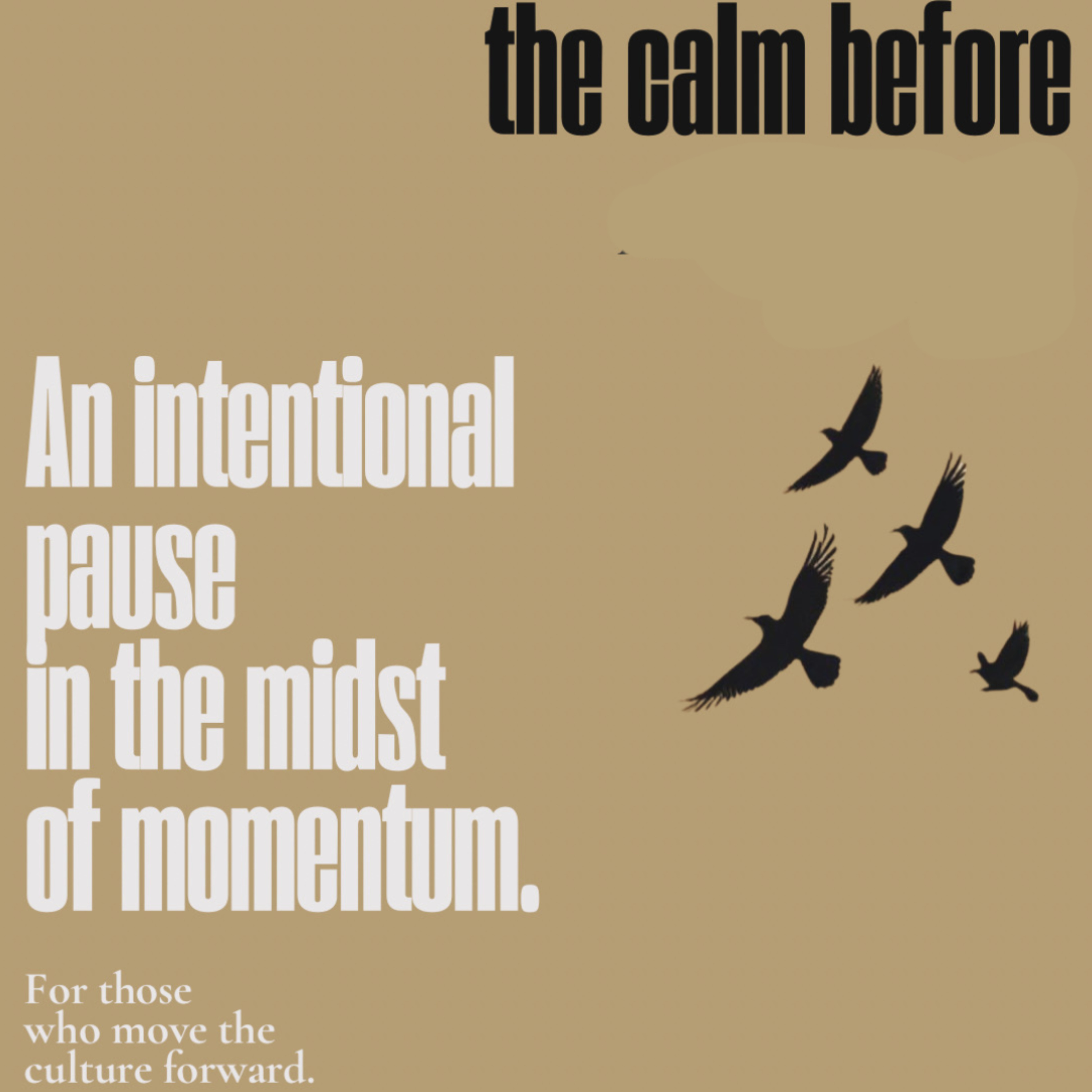 The Calm Before