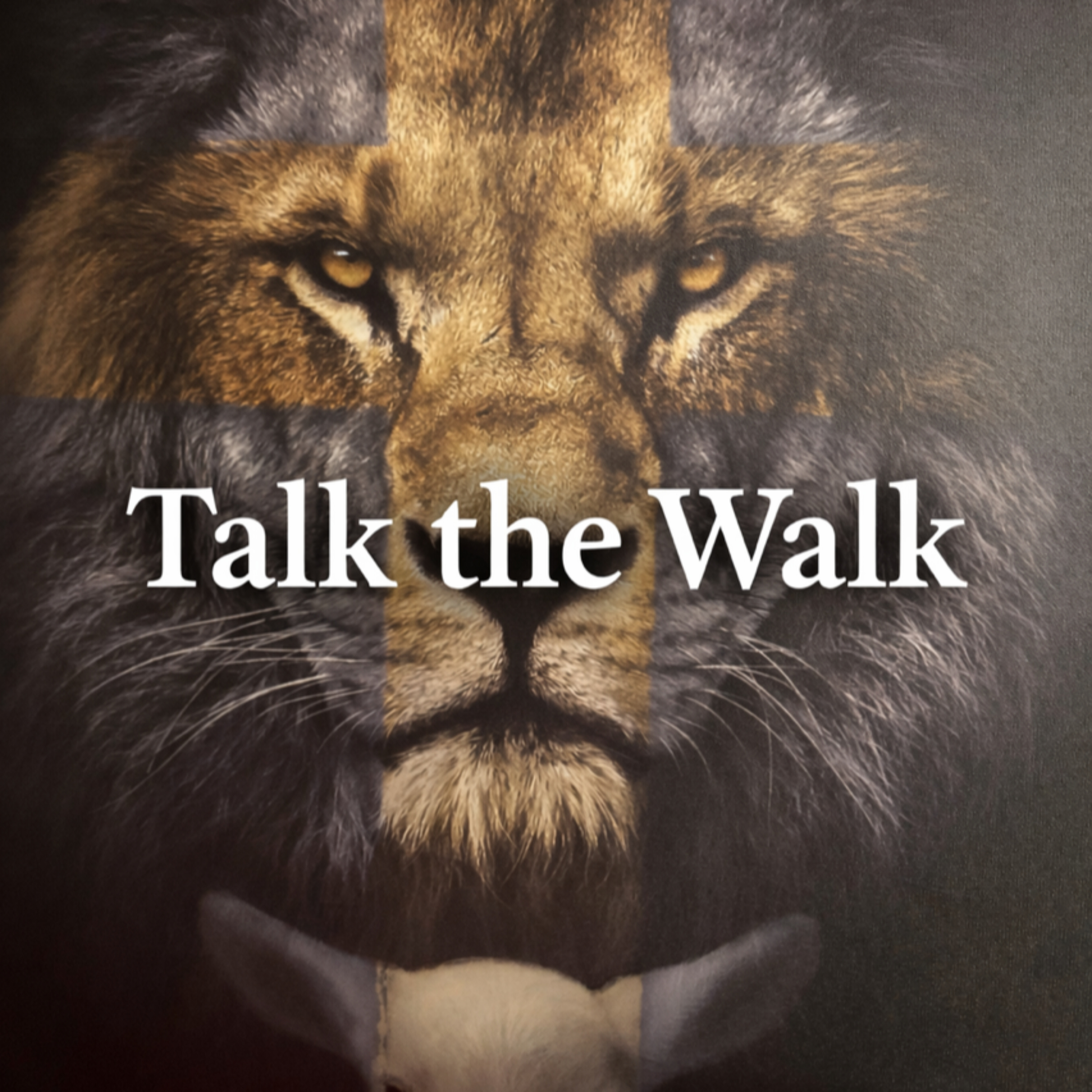 Talk the Walk