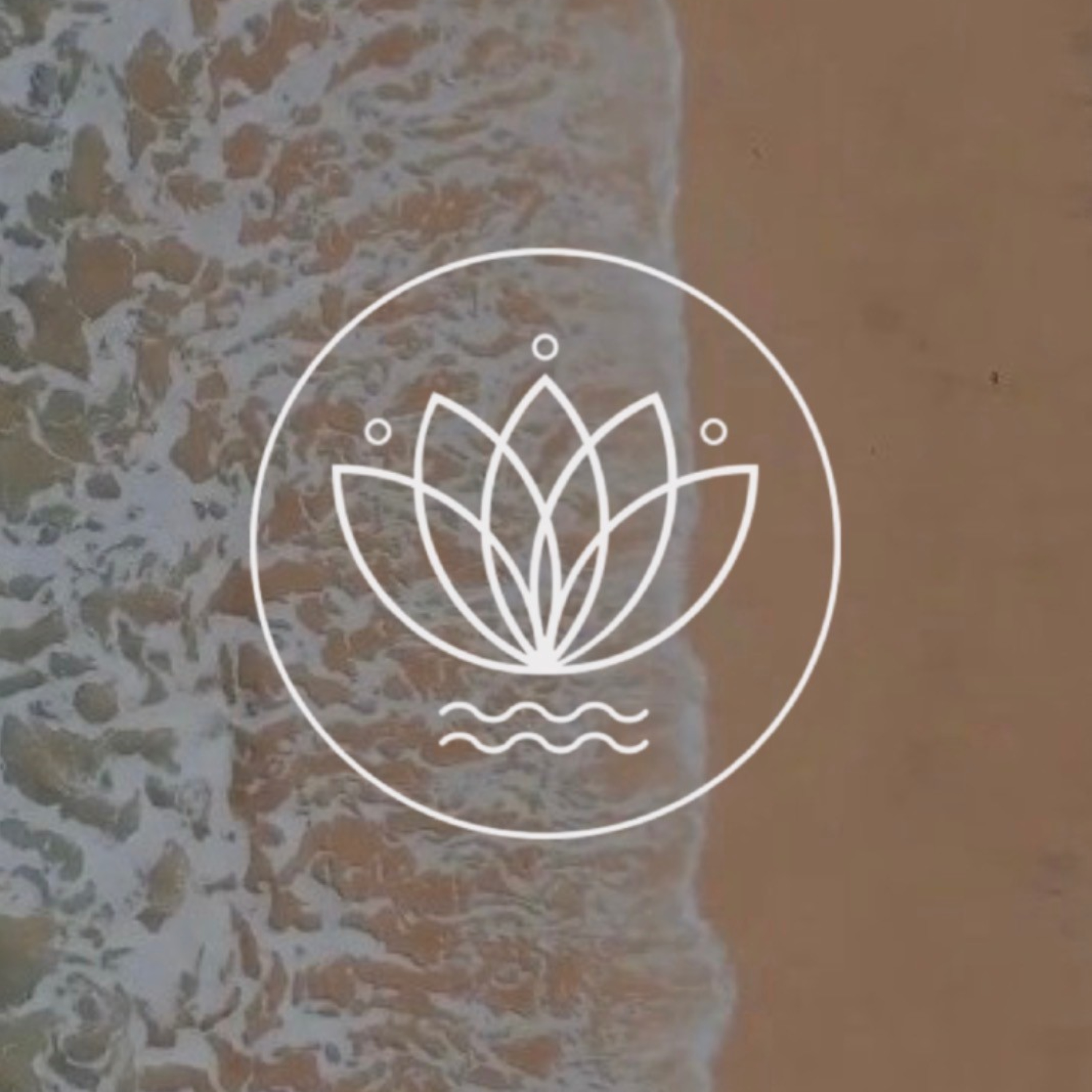 Reset: Somatic Sessions - Guided Meditations and Somatic Practices for Nervous System Regulation