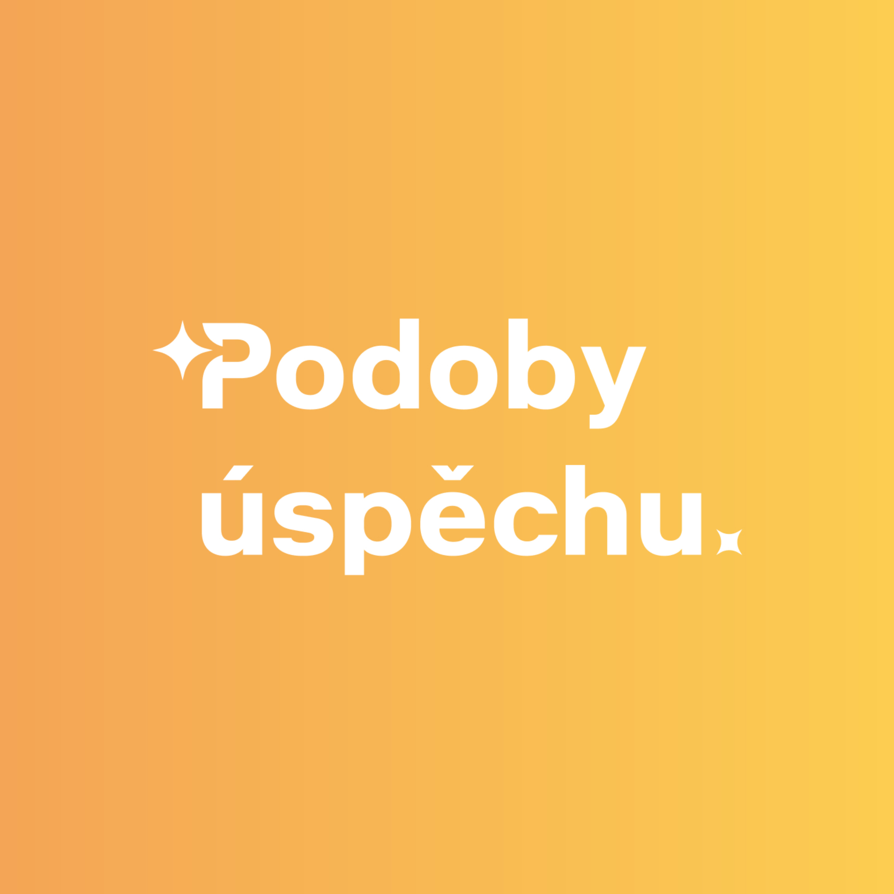 Podoby úspěchu