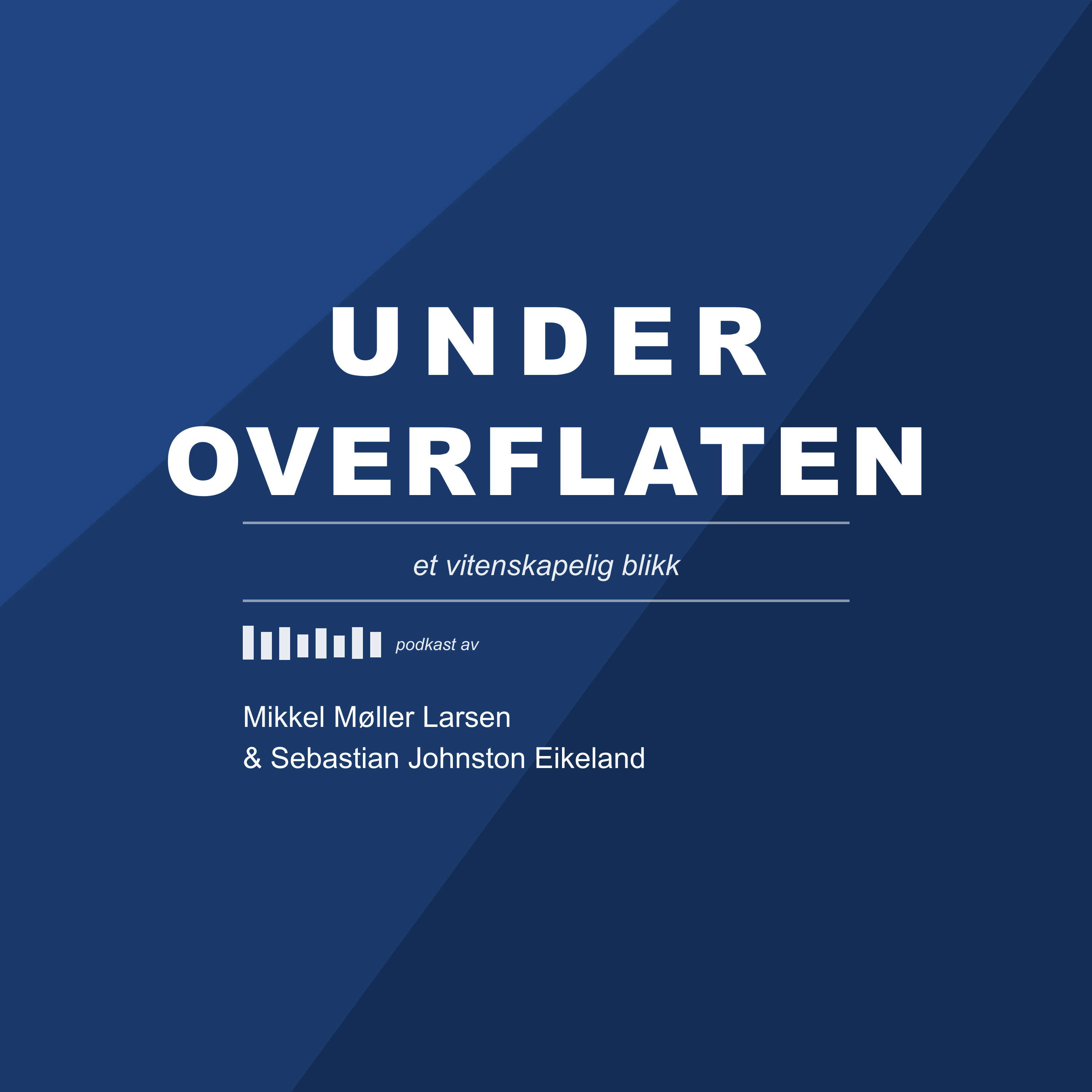 Under overflaten: et vitenskapelig blikk