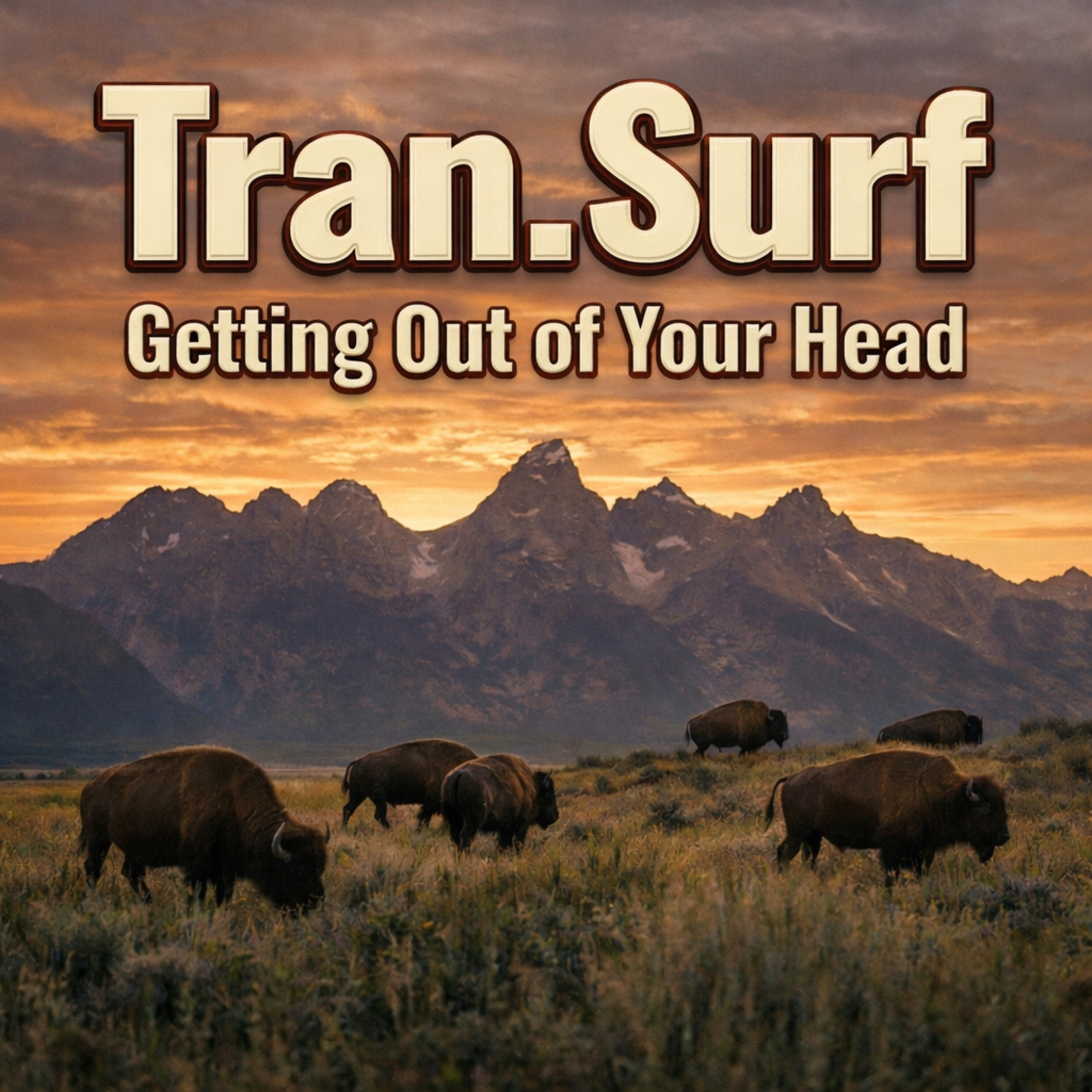 Tran.Surf: Getting Out of Your Head
