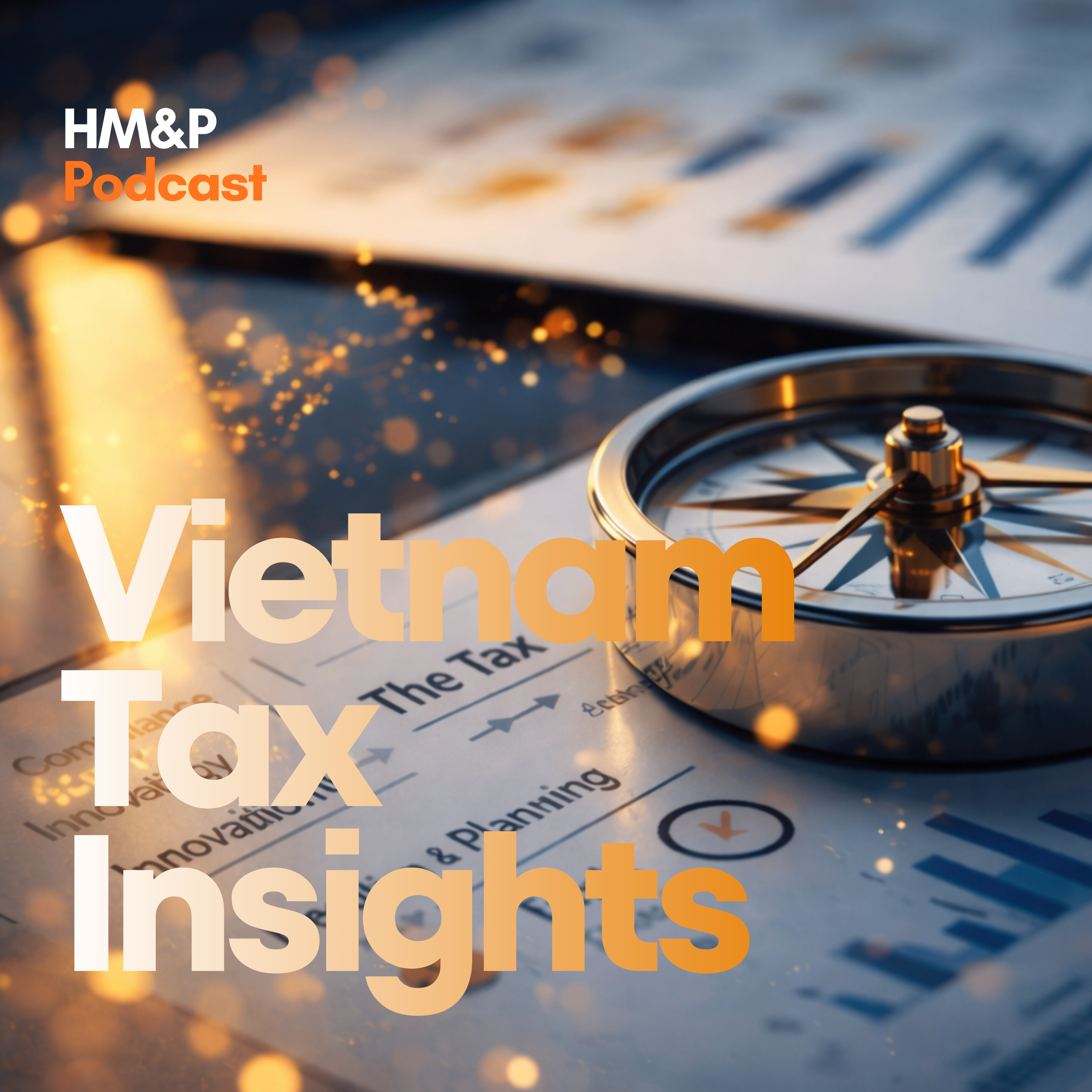 Vietnam Tax Insights
