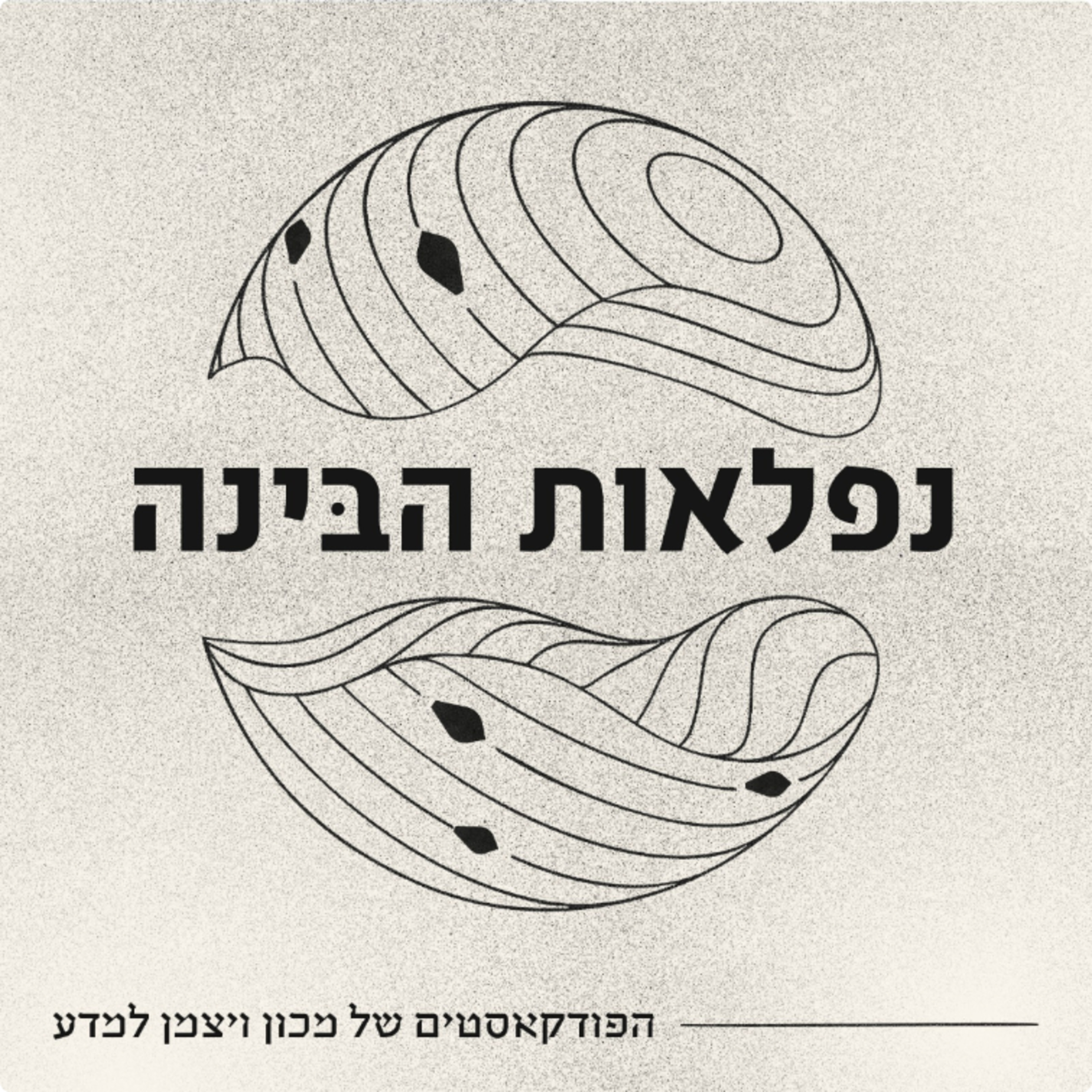 נפלאות הבינה
