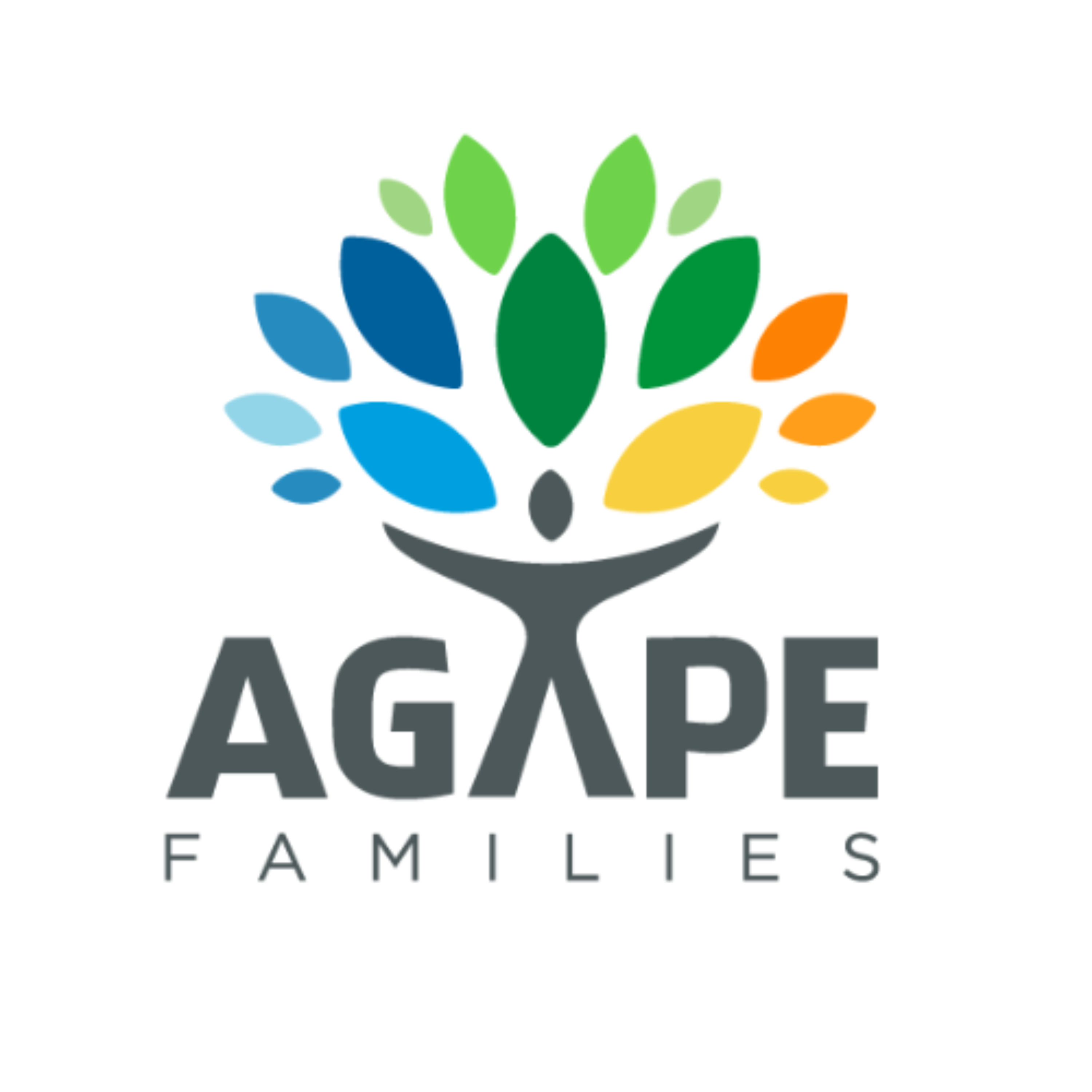 Agape Volunteer Training