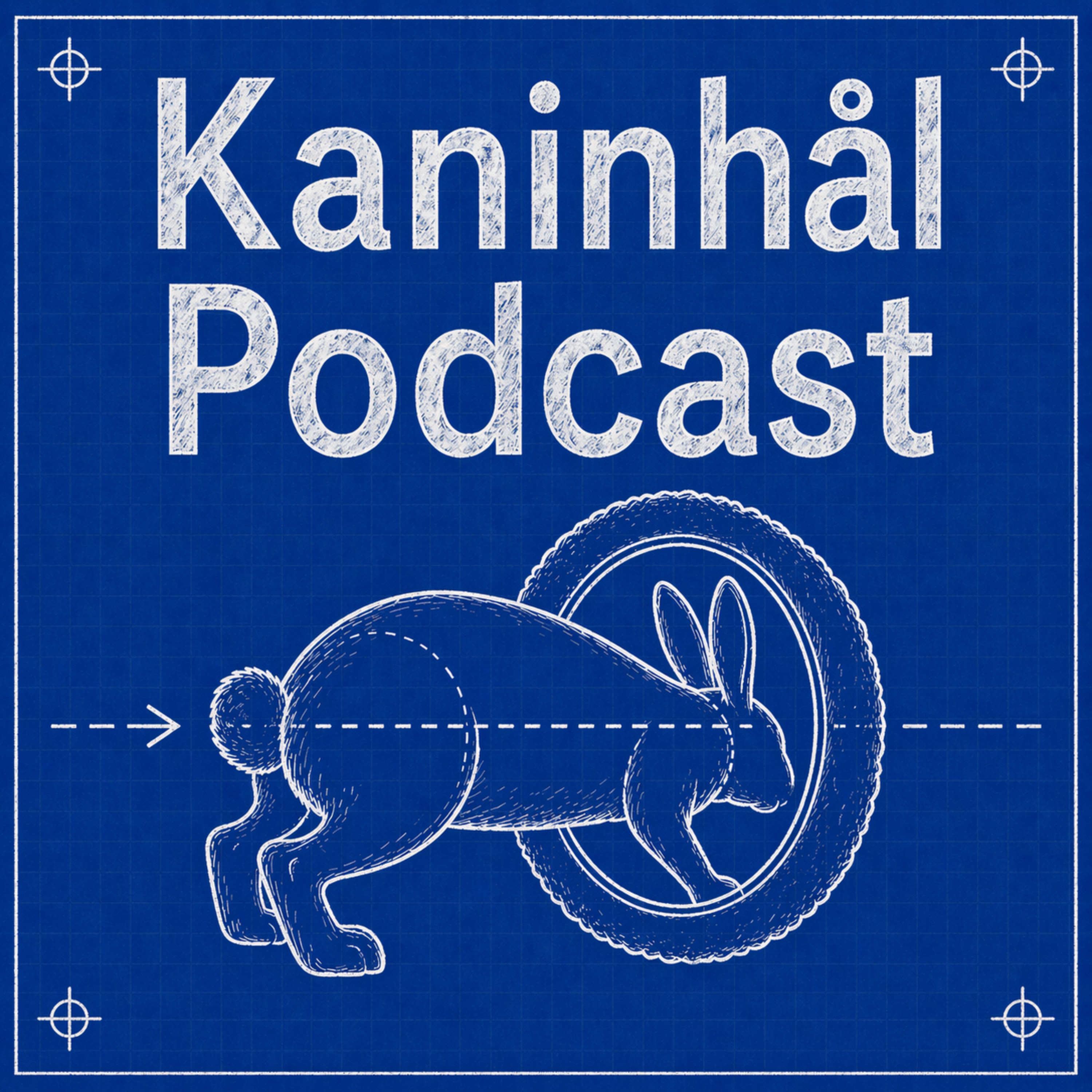 Kaninhål Podcast