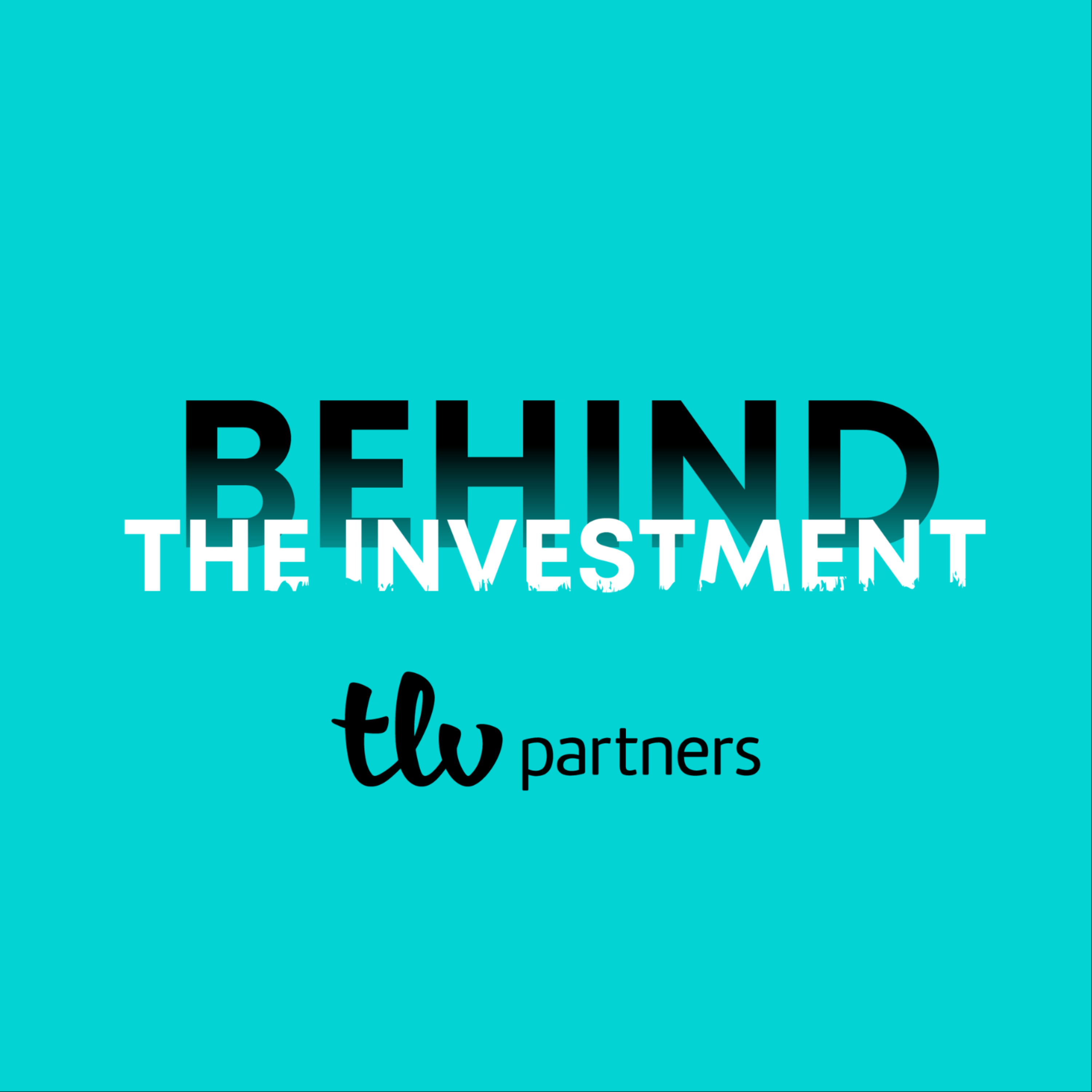 Behind the Investment