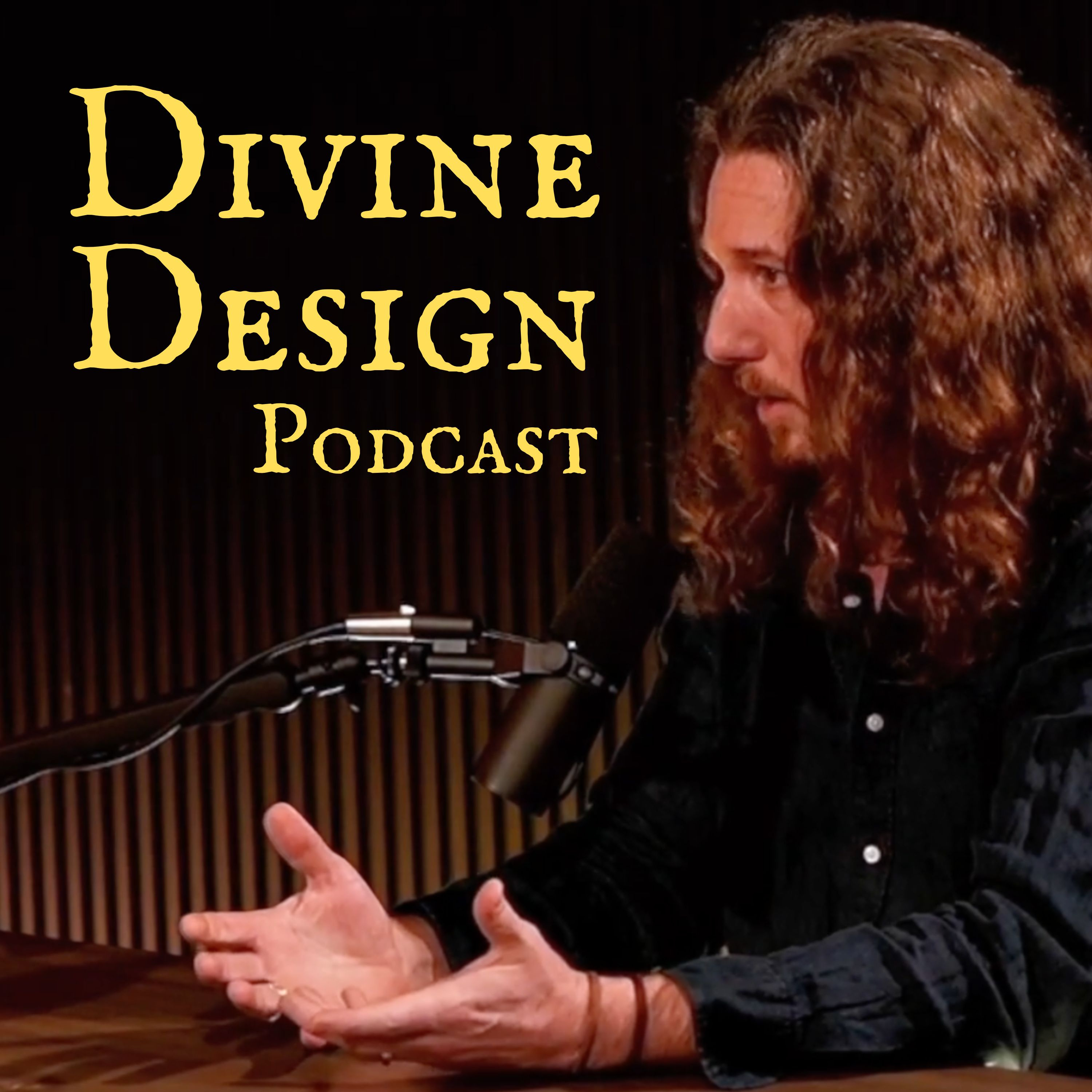 The Divine Design Podcast