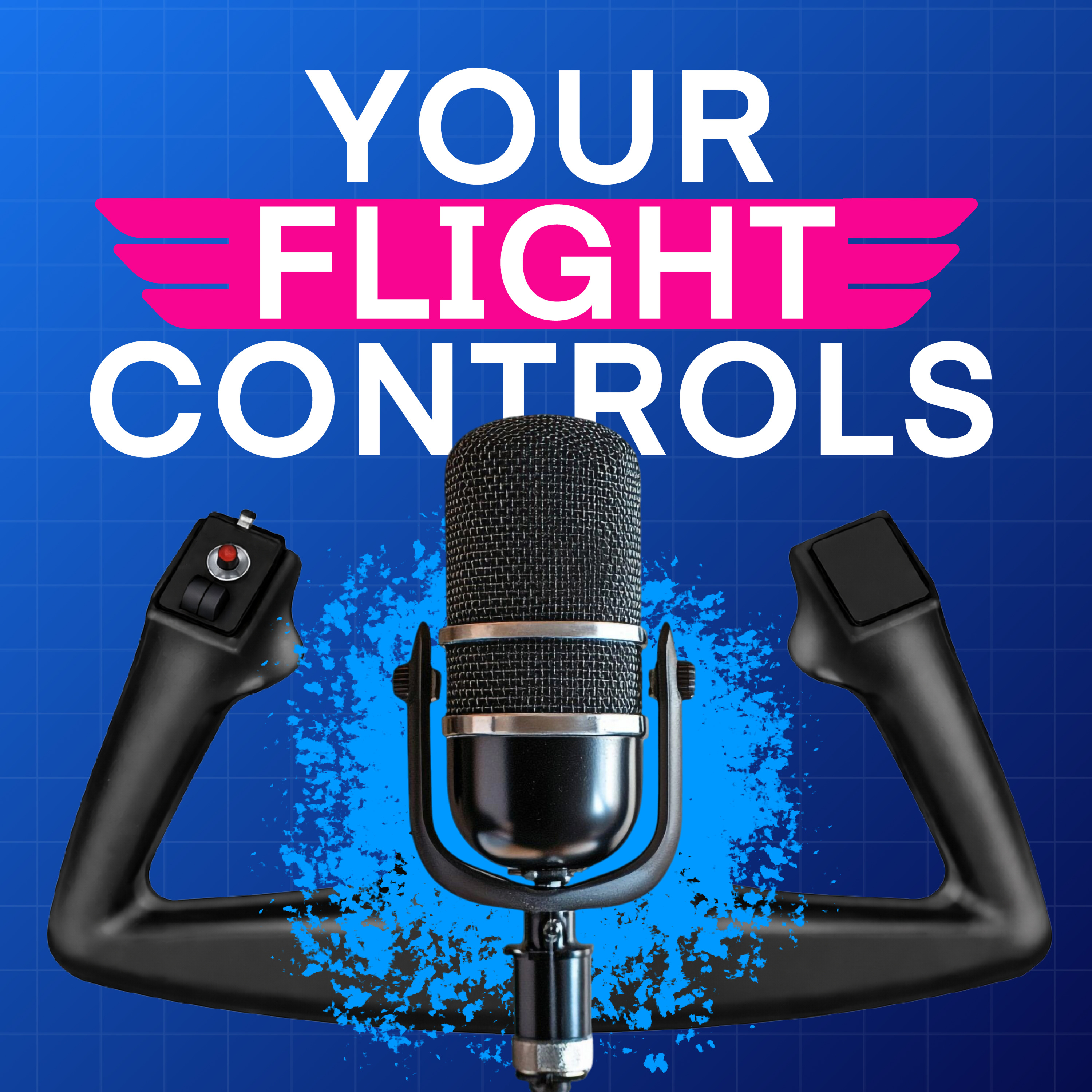 Your Flight Controls