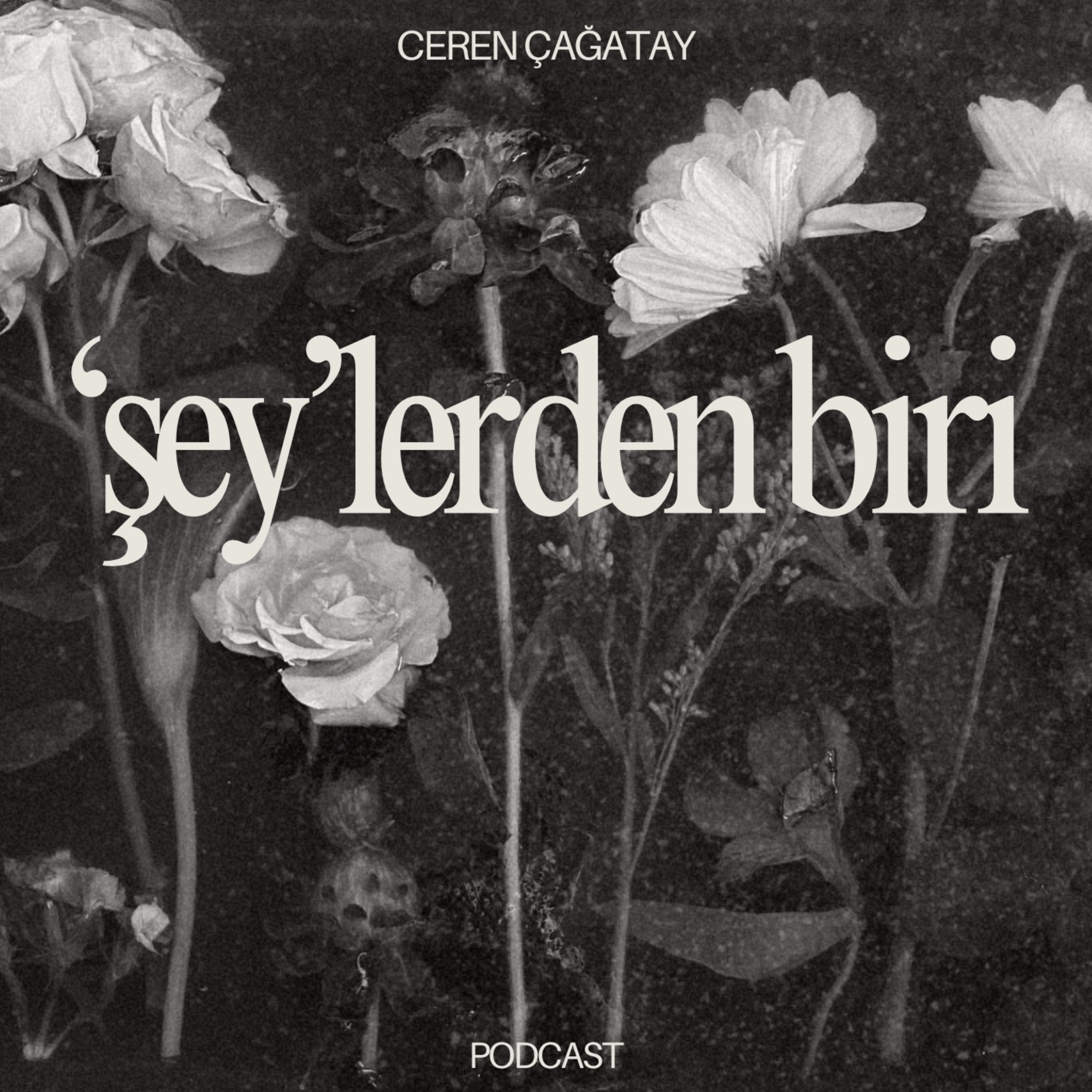 'şey'lerden biri