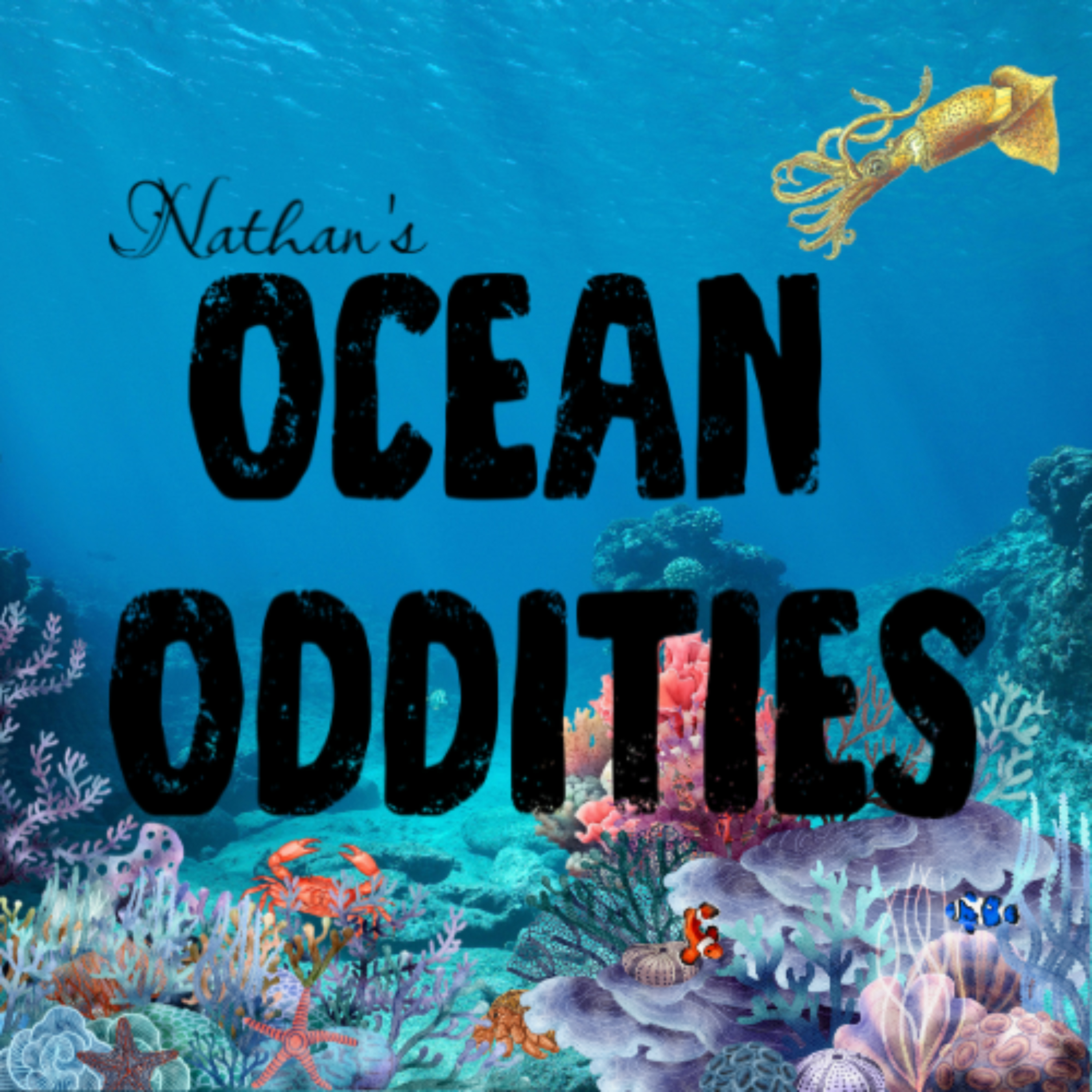 Ocean Oddities