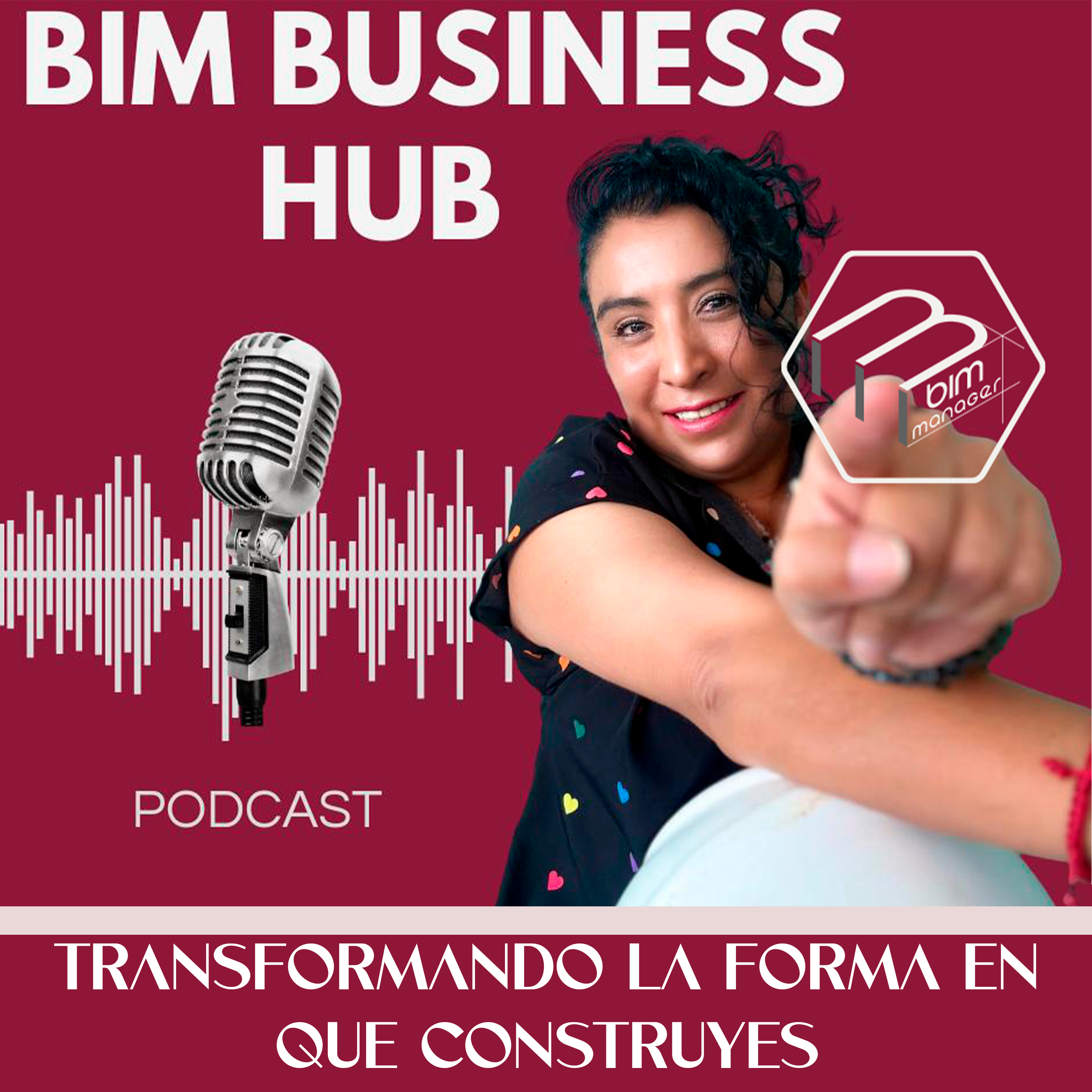 BUSINESSS HUB - BIM MANAGER