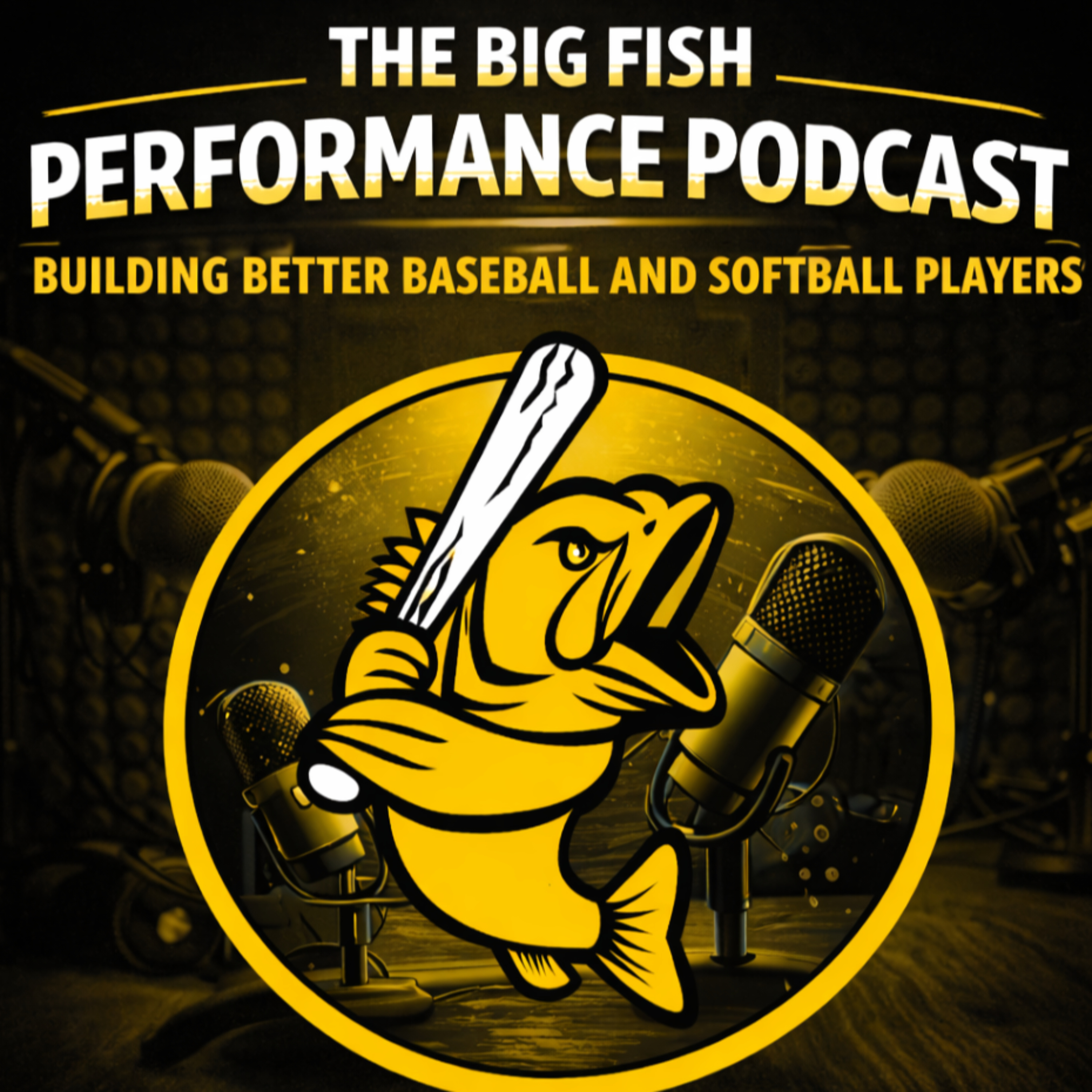 The Big Fish Performance Podcast - Building Better Baseball and Softball Players